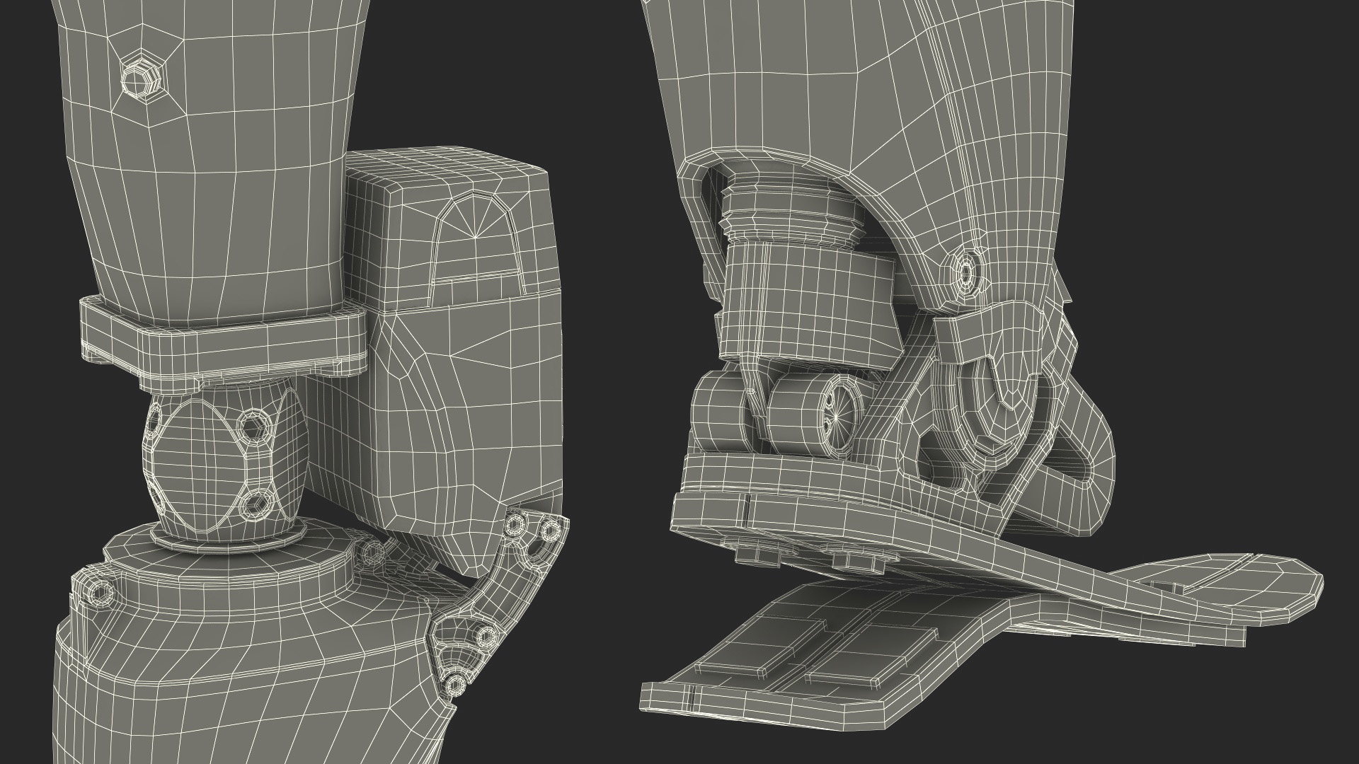 3D Prosthetic Ankle System BiOM model