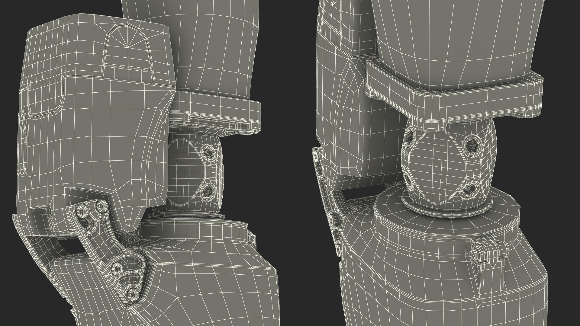 3D Prosthetic Ankle System BiOM model