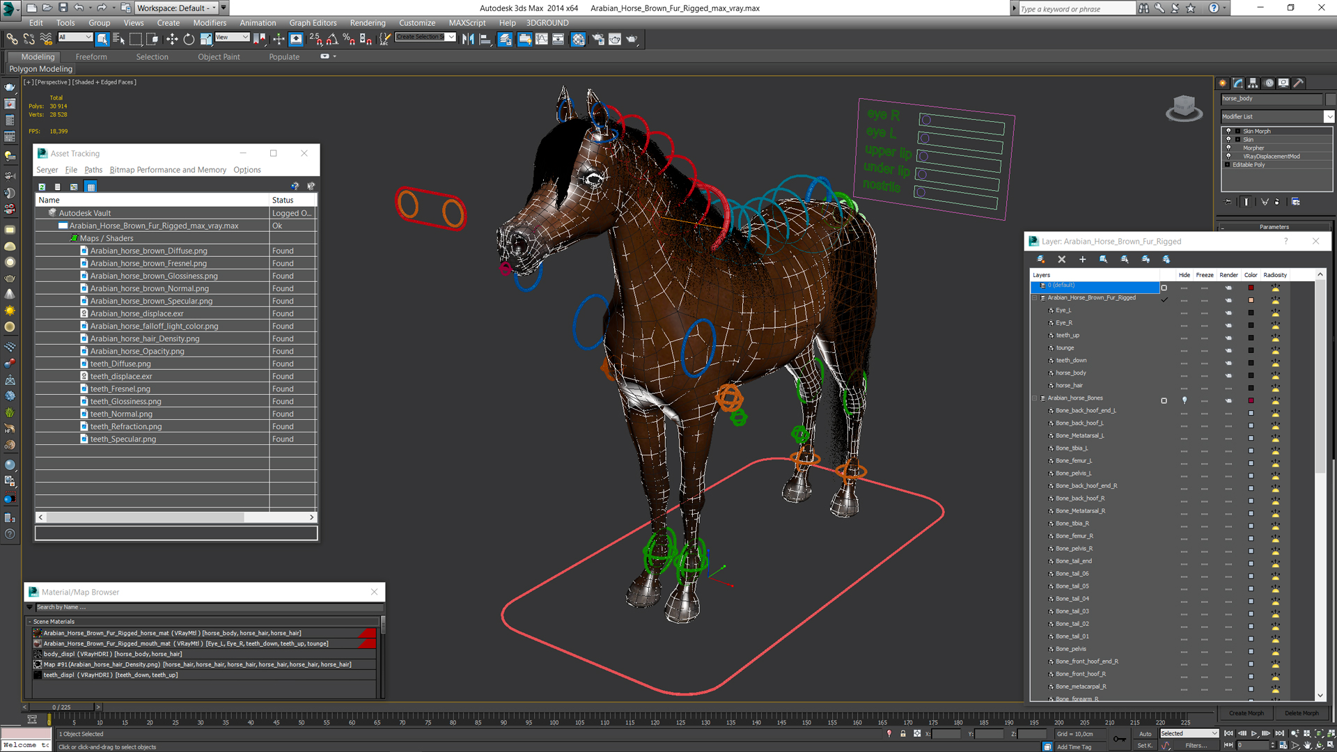 3D model Arabian Horse Brown Fur Rigged