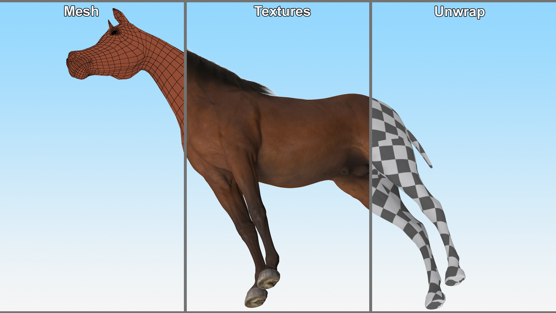 3D model Arabian Horse Brown Fur Rigged