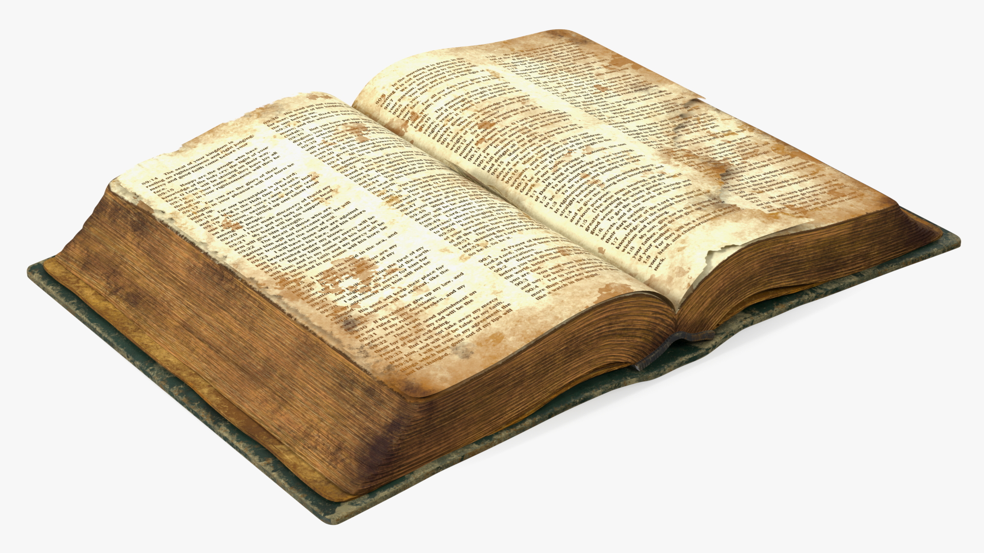 3D Very Old Open Book model