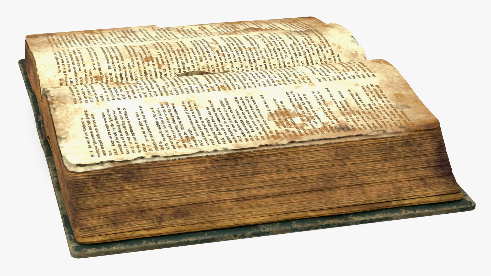 3D Very Old Open Book model