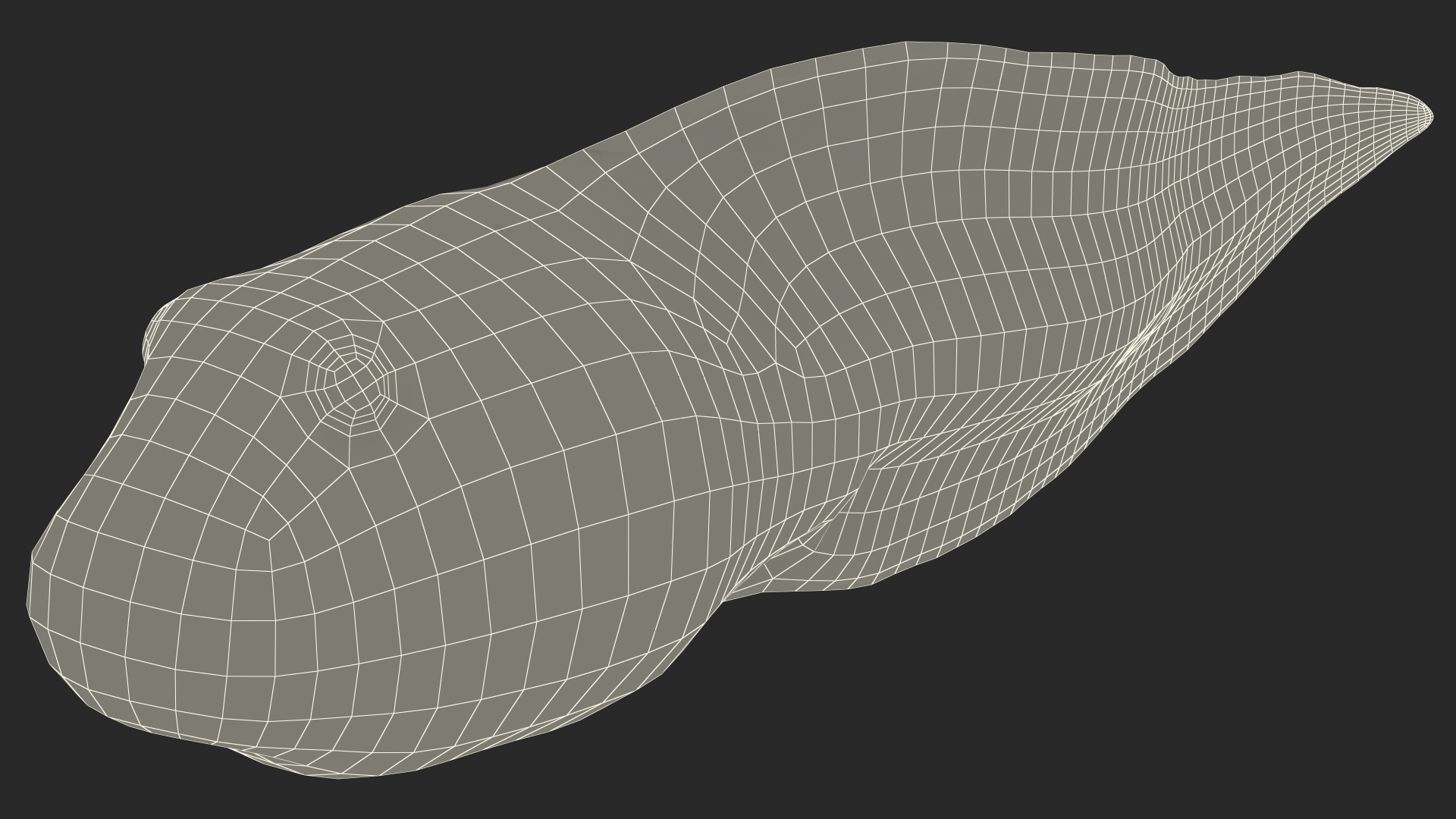 Tadpole Rigged 3D model