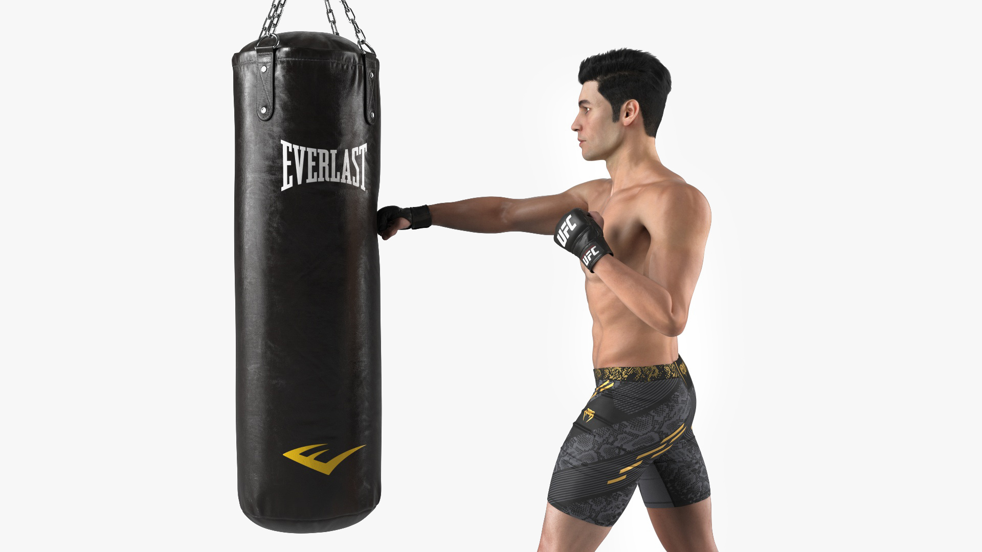 3D model UFC MMA Fighter Training with Everlast Punching Bag Fur