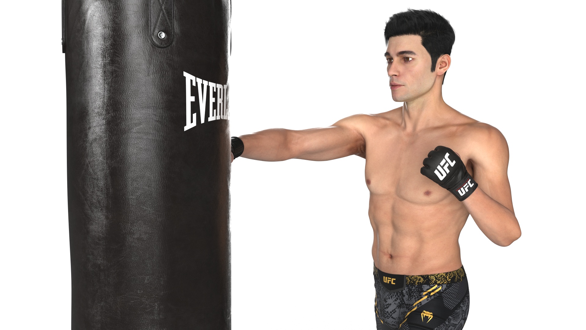 3D model UFC MMA Fighter Training with Everlast Punching Bag Fur