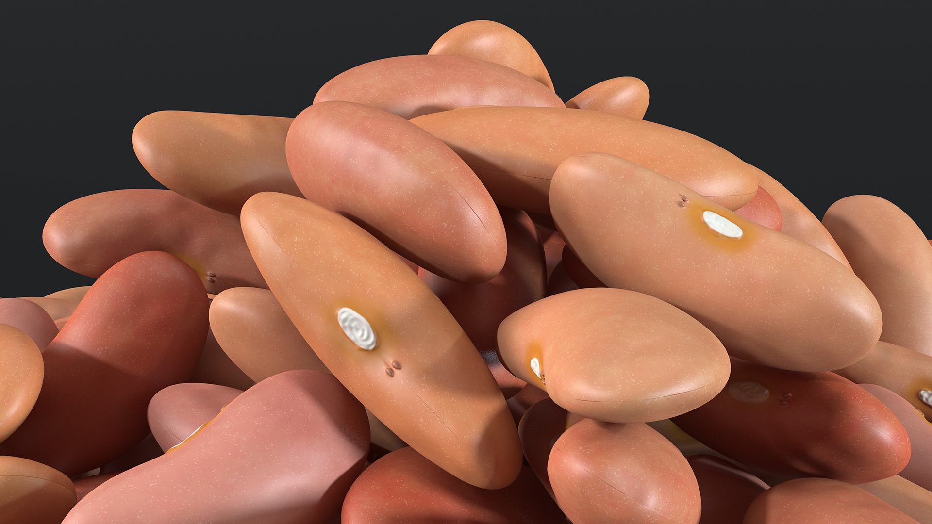 3D model Pile of Light Red Kidney Beans