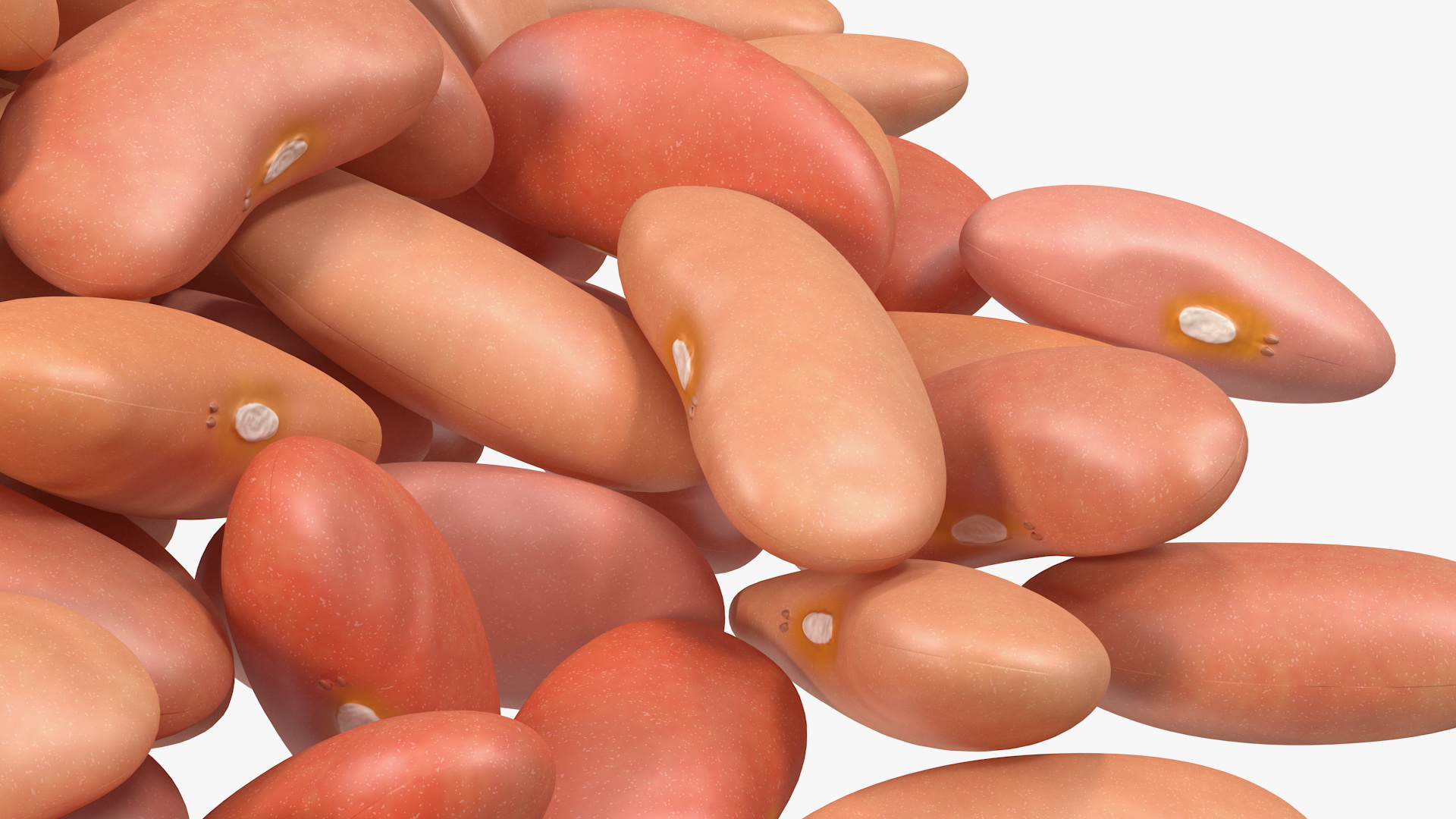 3D model Pile of Light Red Kidney Beans