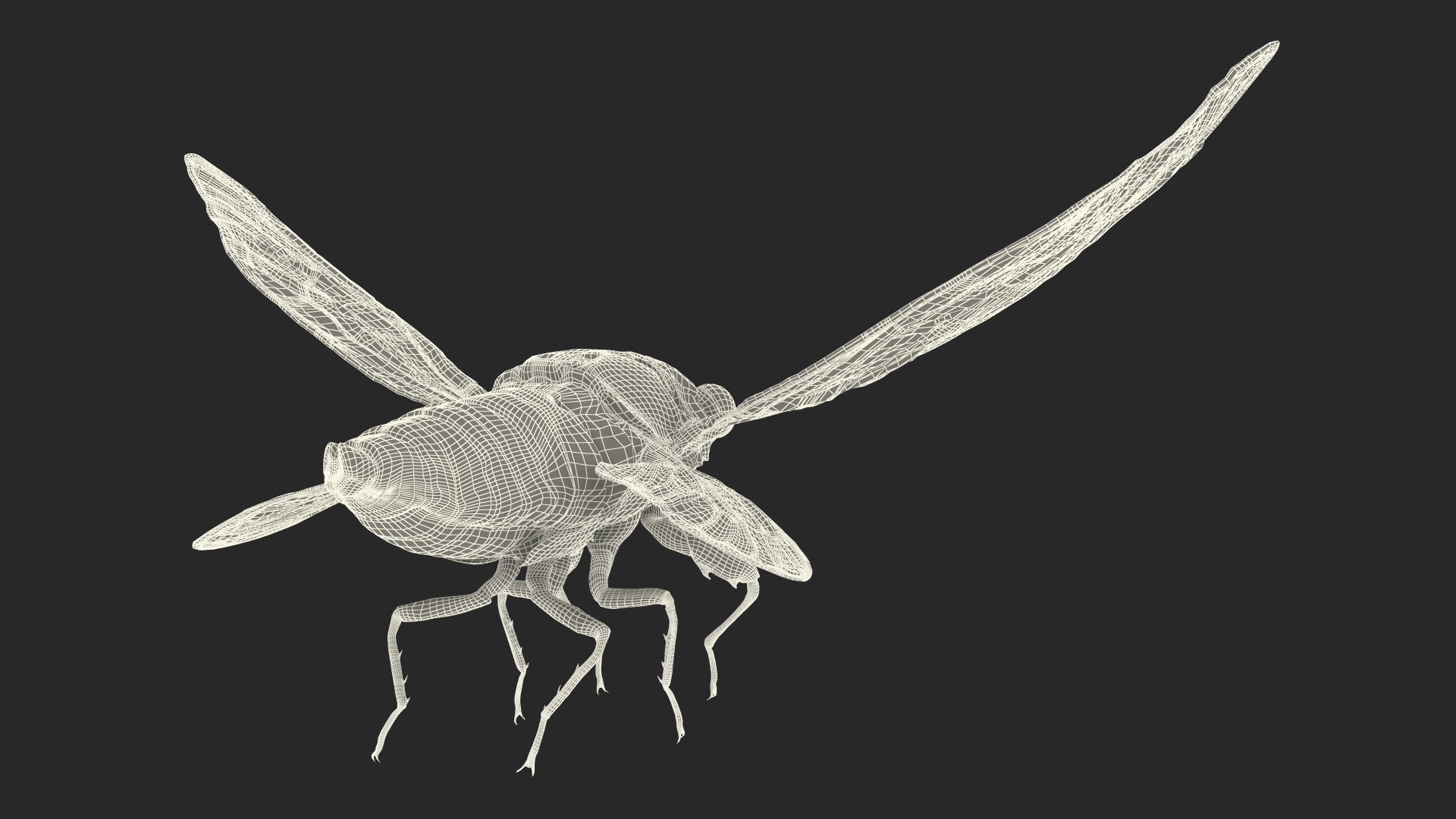 Cicada Pose Takeoff 3D model