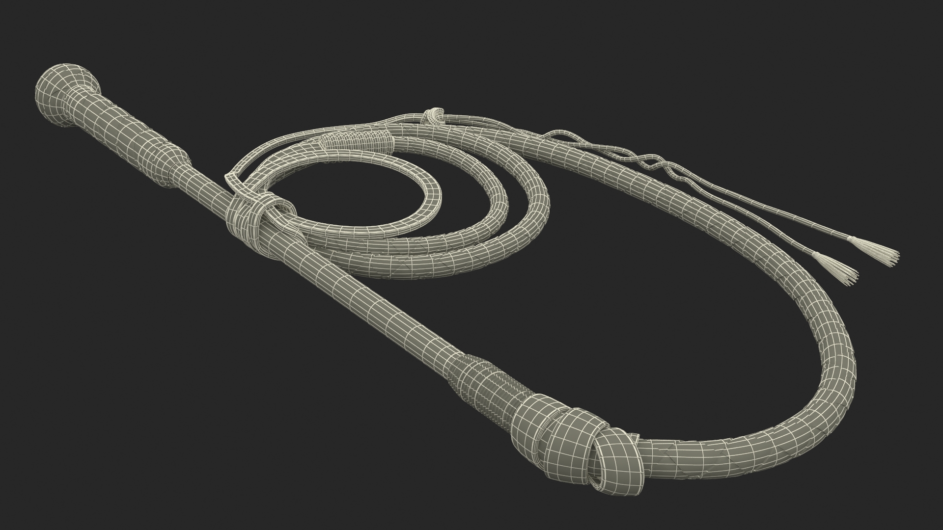 Leather Whip Coiled Brown Rigged 3D