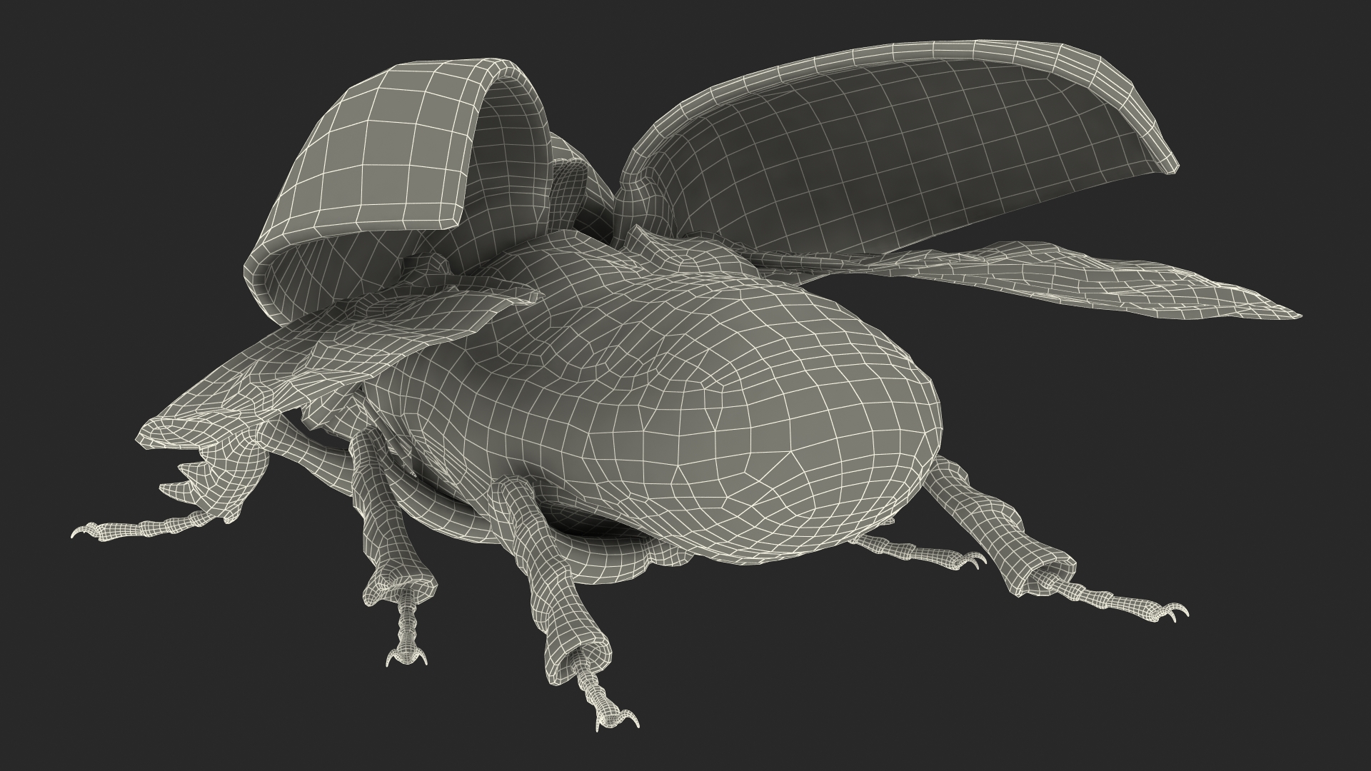 3D Rhinoceros Beetle Oryctes Nasicornis Rigged model