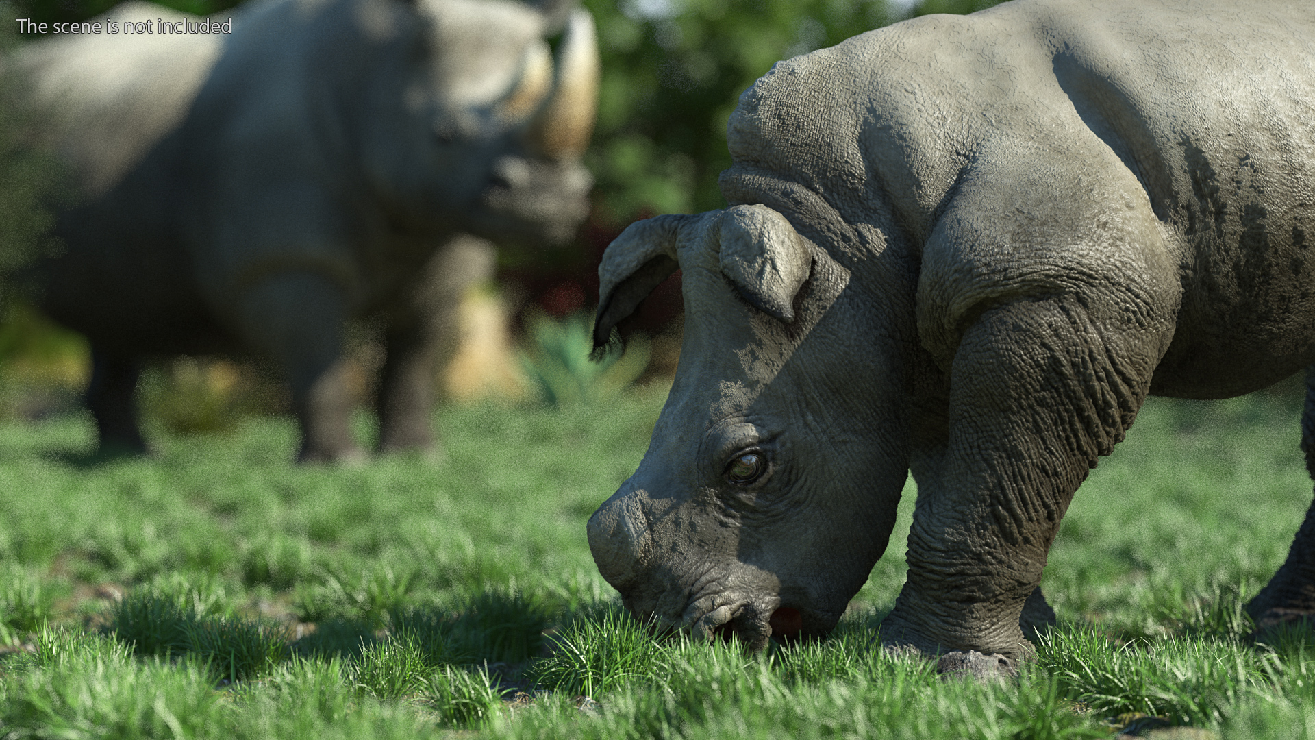 3D Baby Rhino Fur Rigged