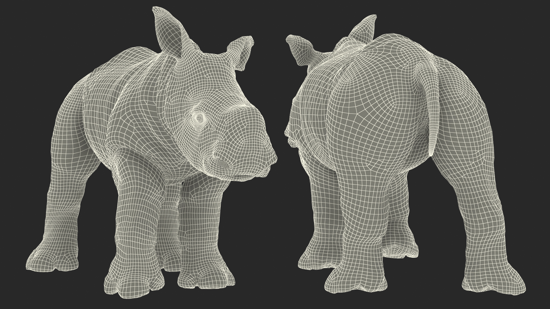 3D Baby Rhino Fur Rigged