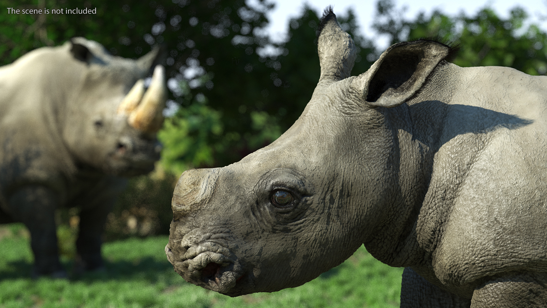 3D Baby Rhino Fur Rigged