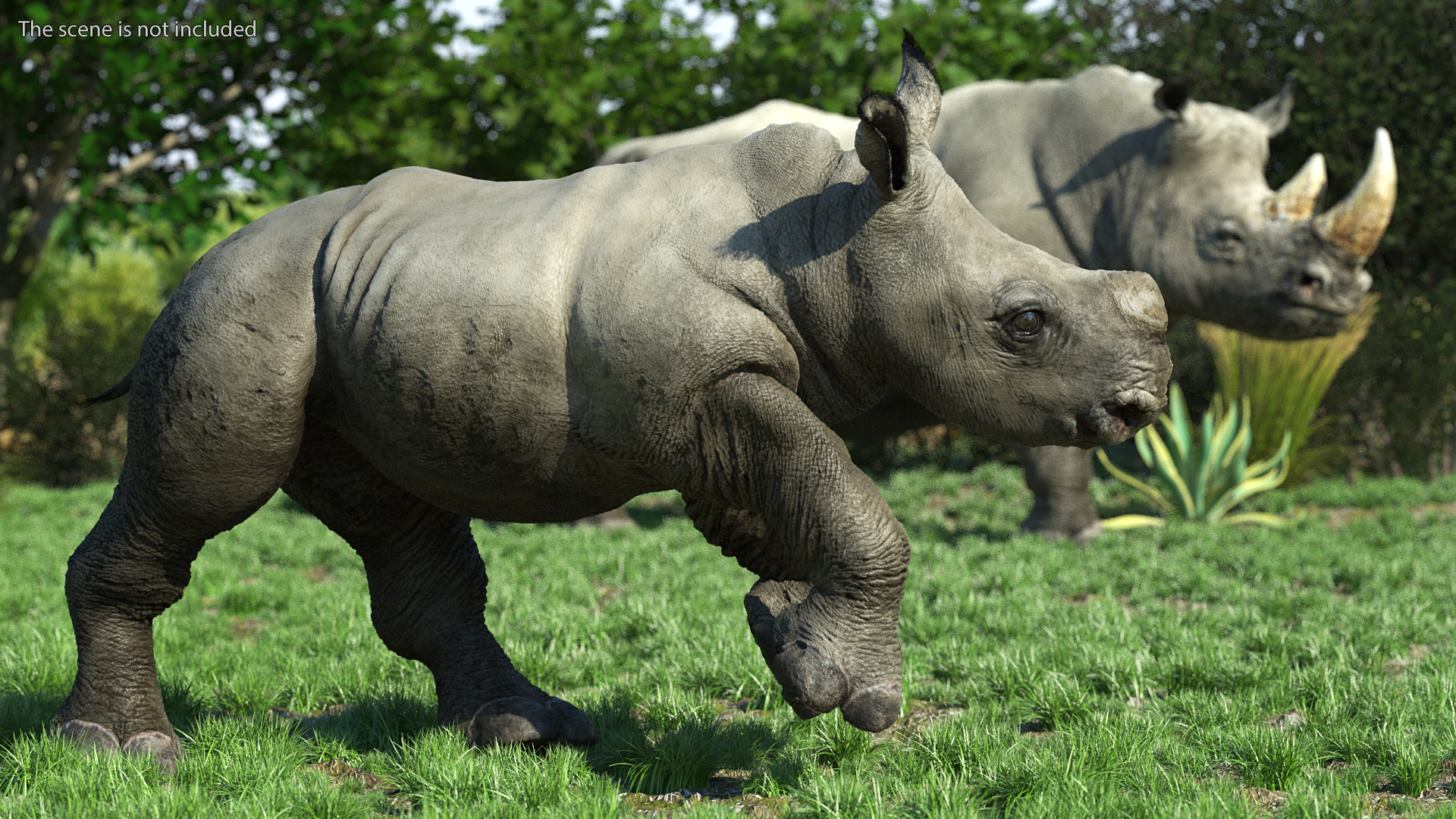 3D Baby Rhino Fur Rigged