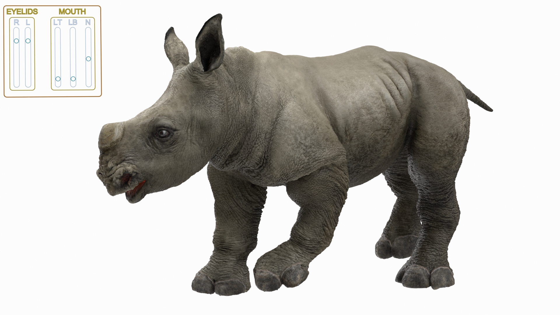 3D Baby Rhino Fur Rigged