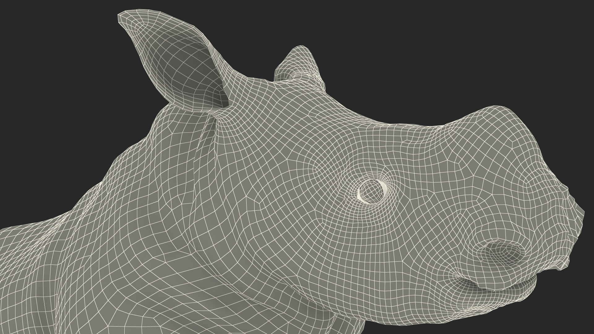 3D Baby Rhino Fur Rigged