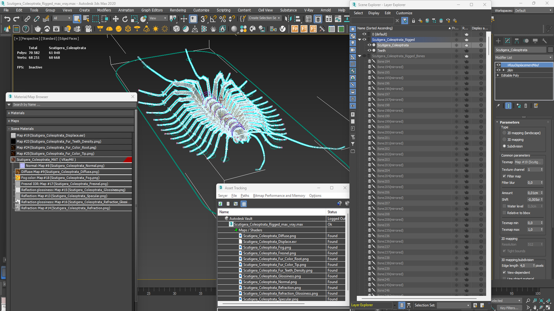 3D Scutigera Coleoptrata Rigged model