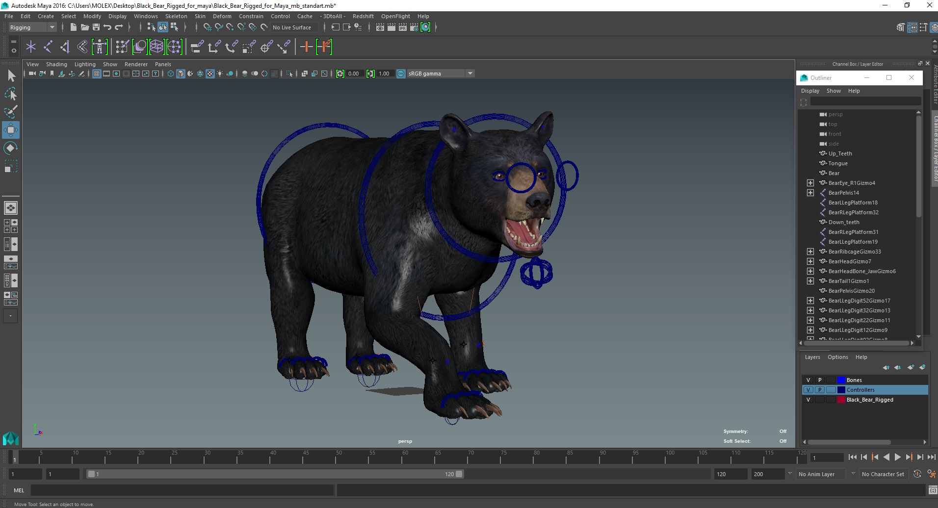 3D Black Bear Rigged for Maya