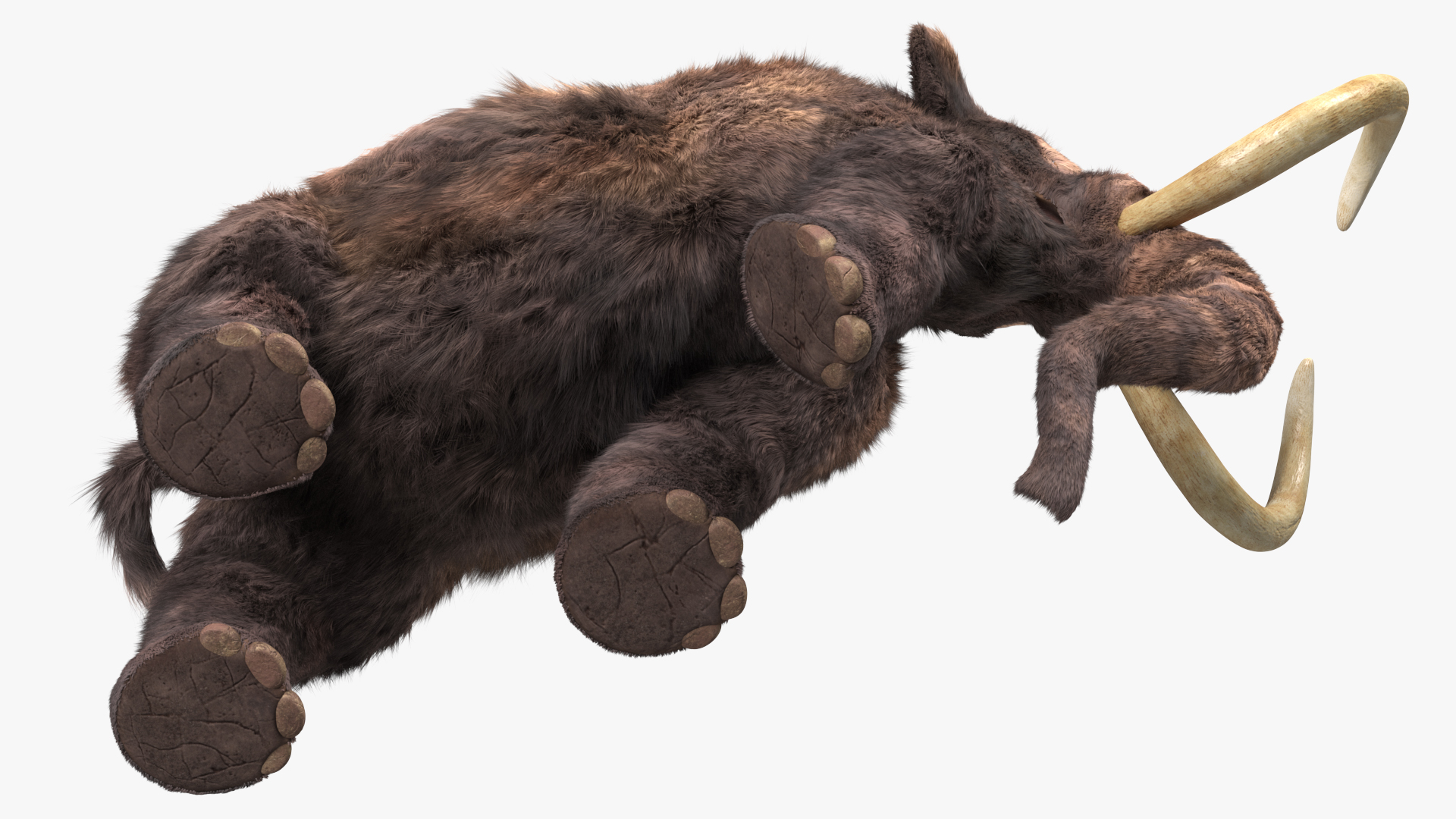 3D model Mammoth Adult Walking Pose Fur