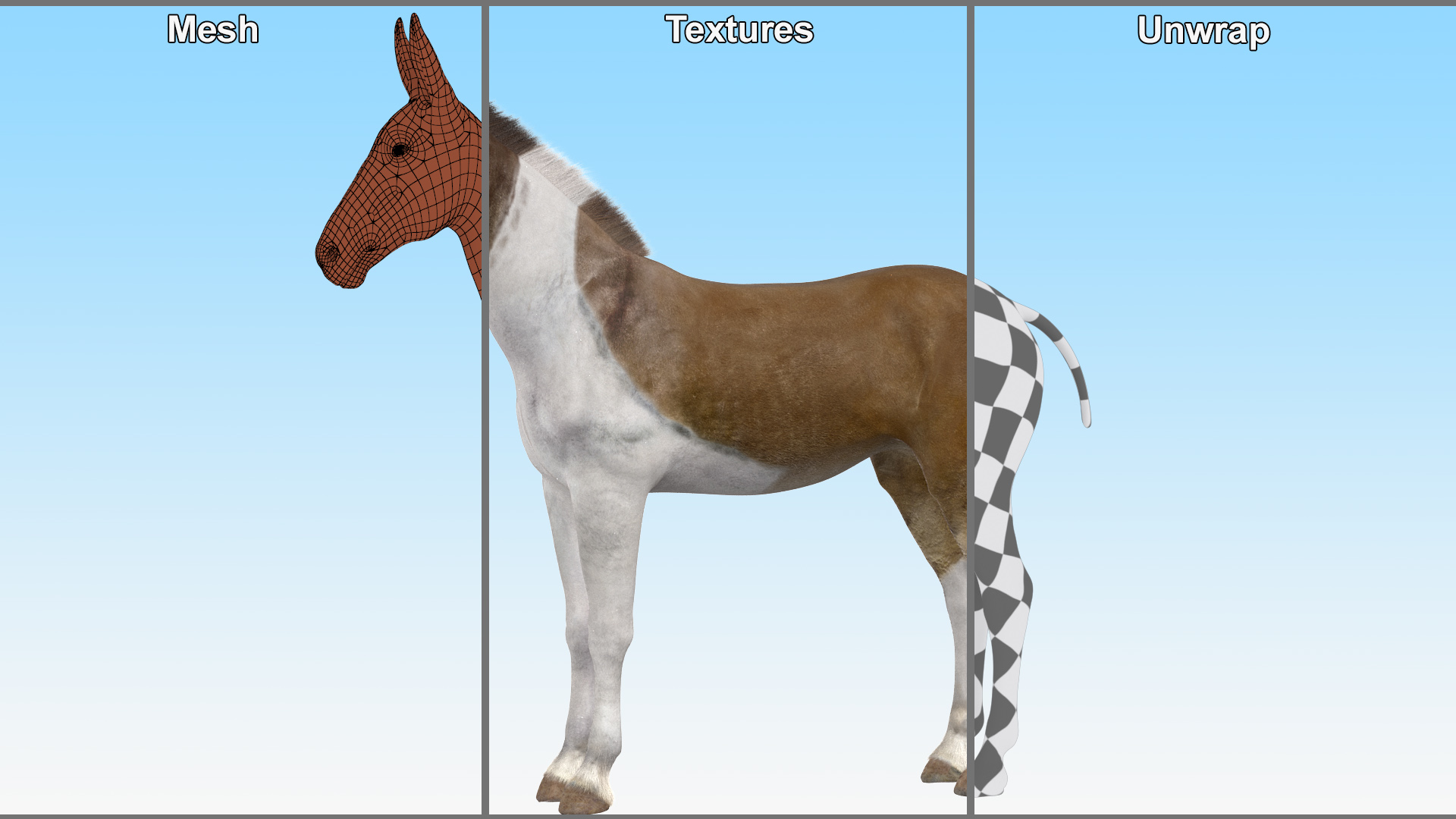 3D model Mule Fur