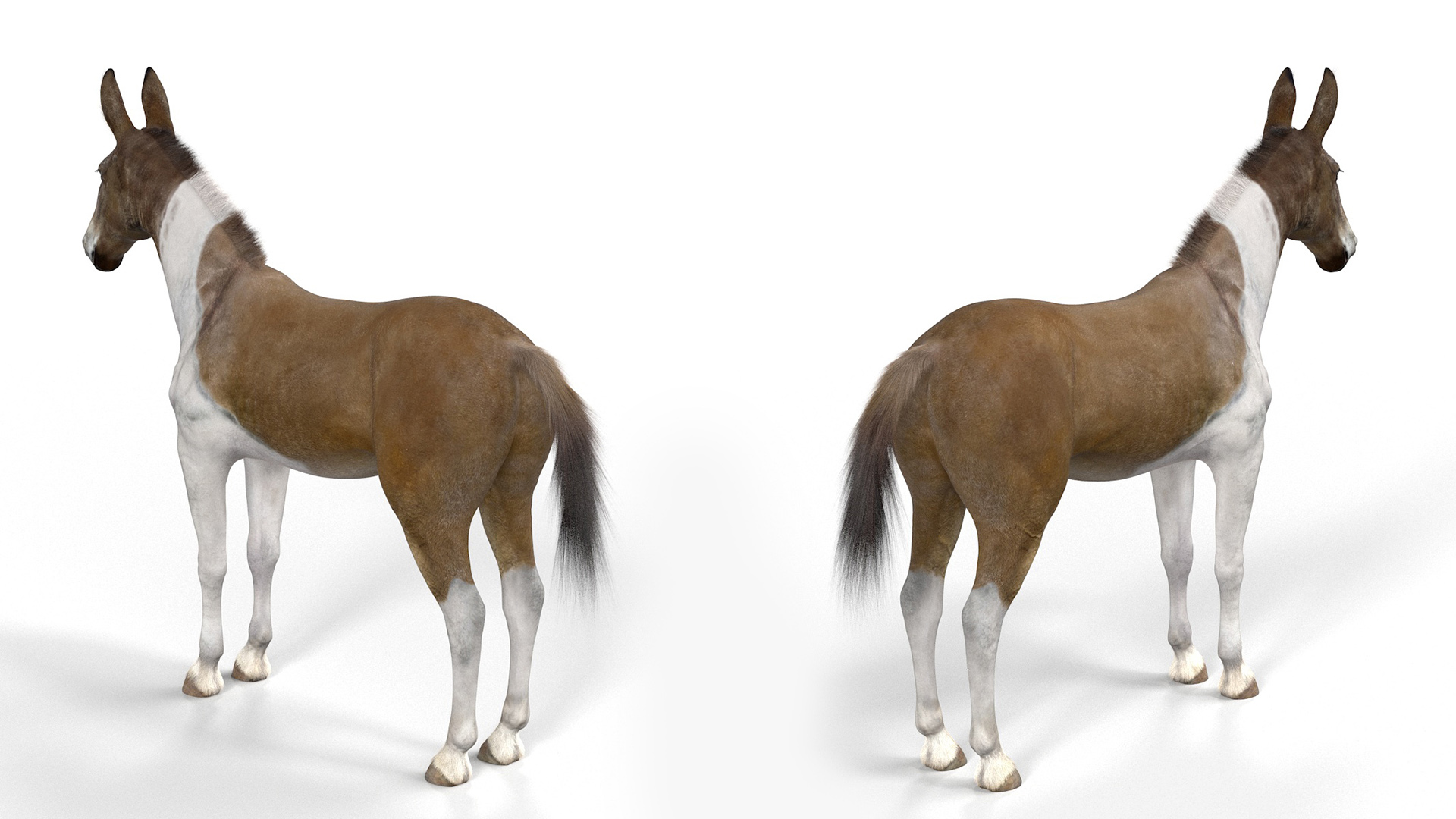 3D model Mule Fur