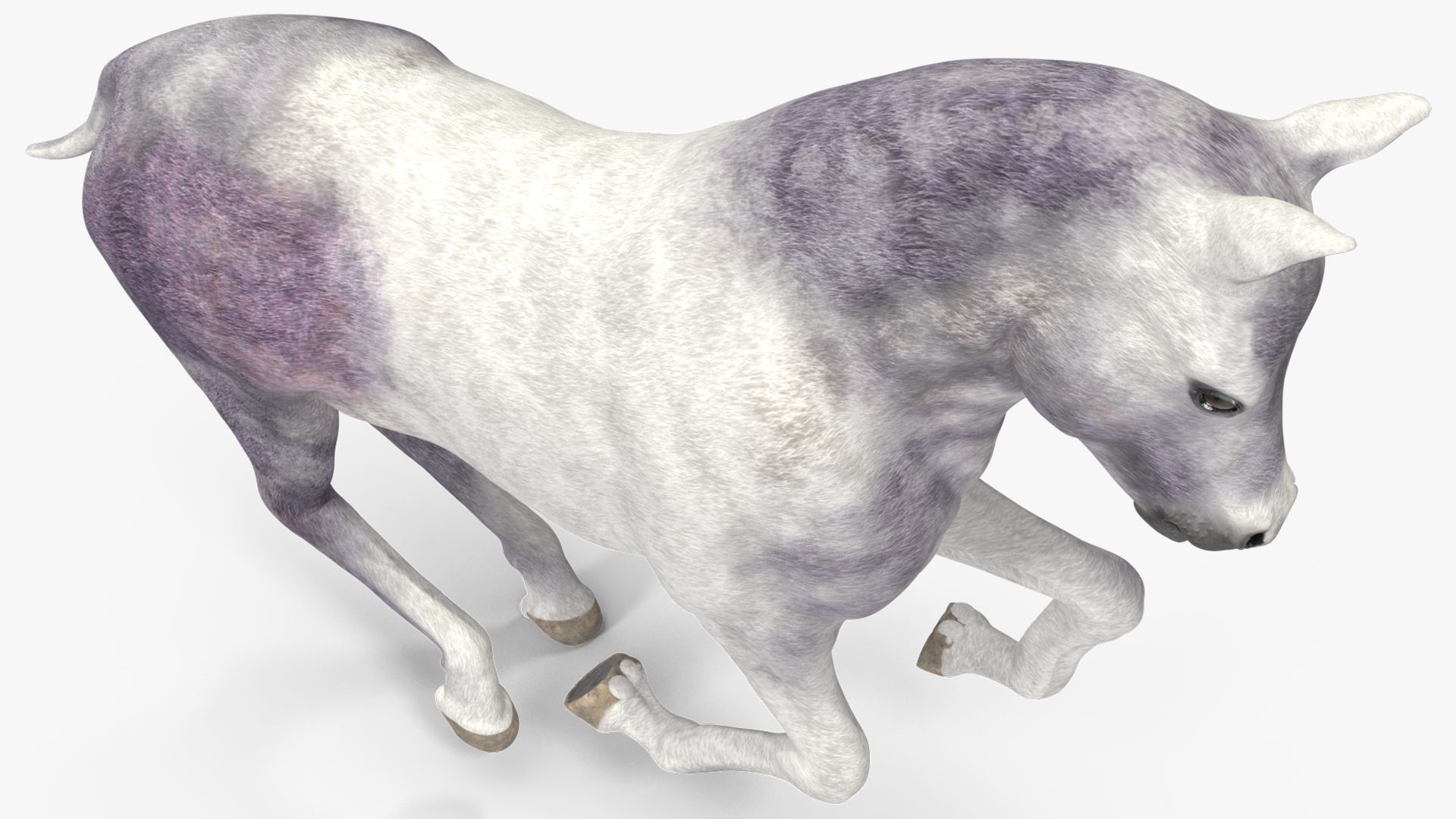 Running Shetland Pony White 3D