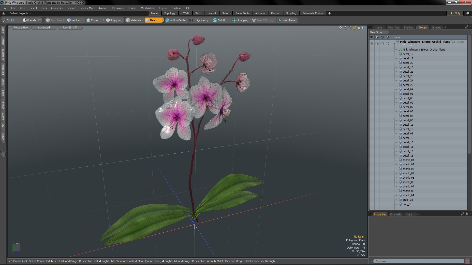 3D Pink Whispers Exotic Orchid Plant model