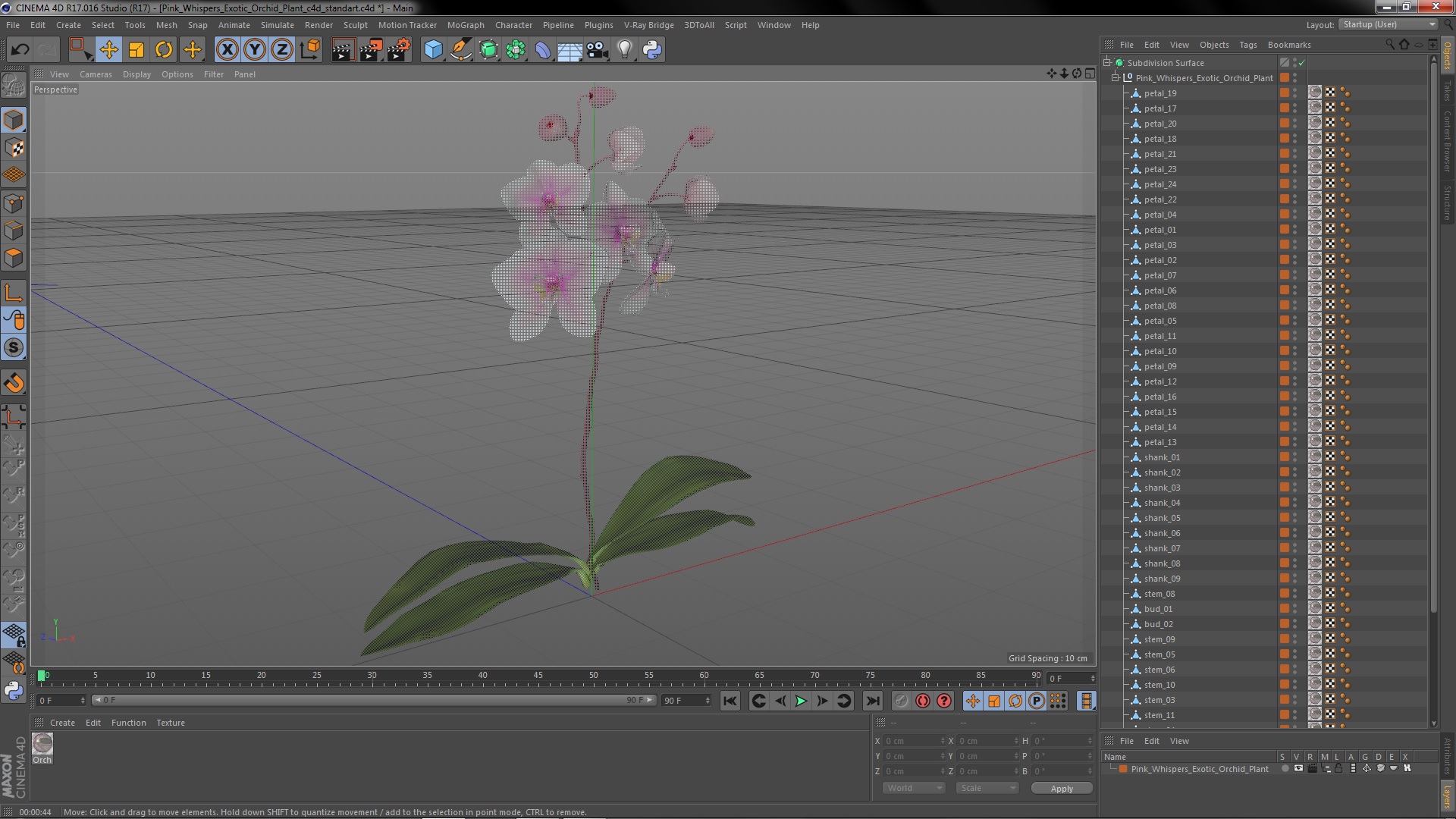 3D Pink Whispers Exotic Orchid Plant model