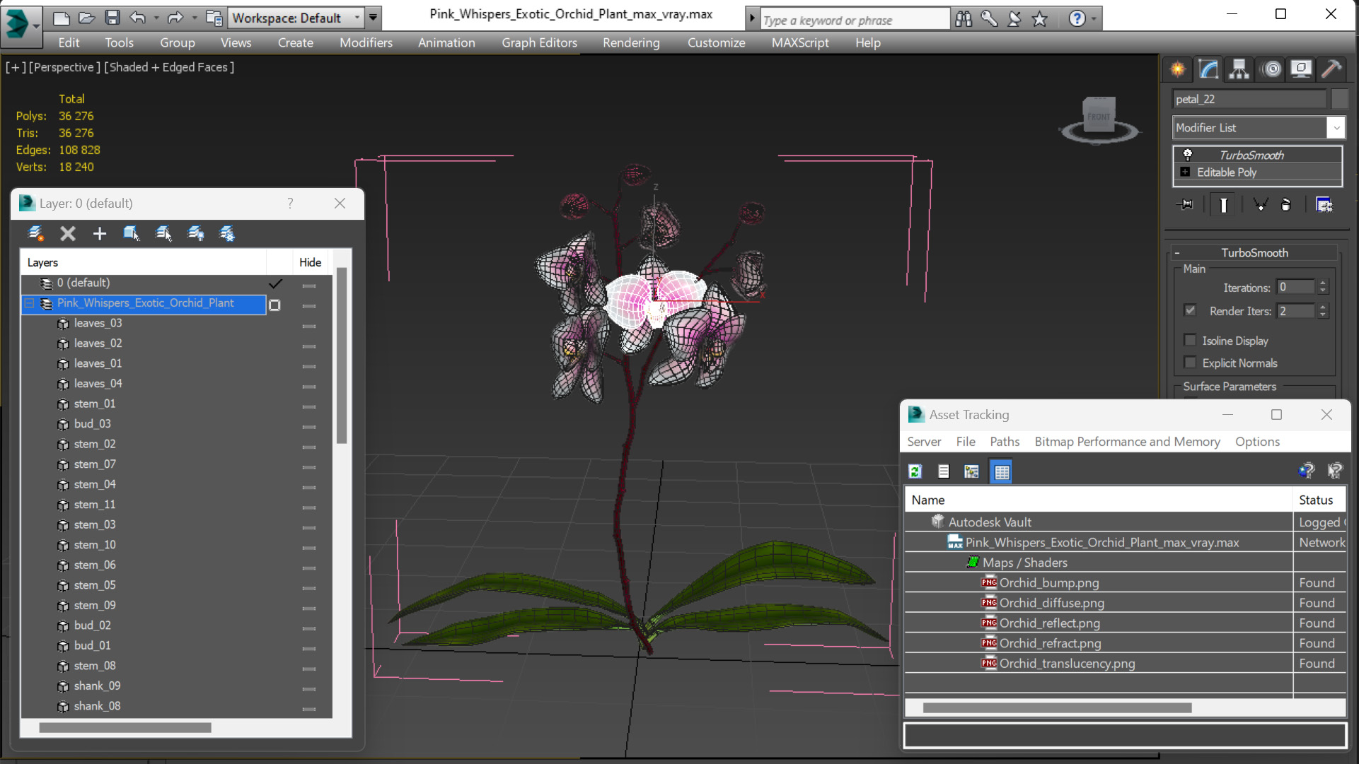 3D Pink Whispers Exotic Orchid Plant model