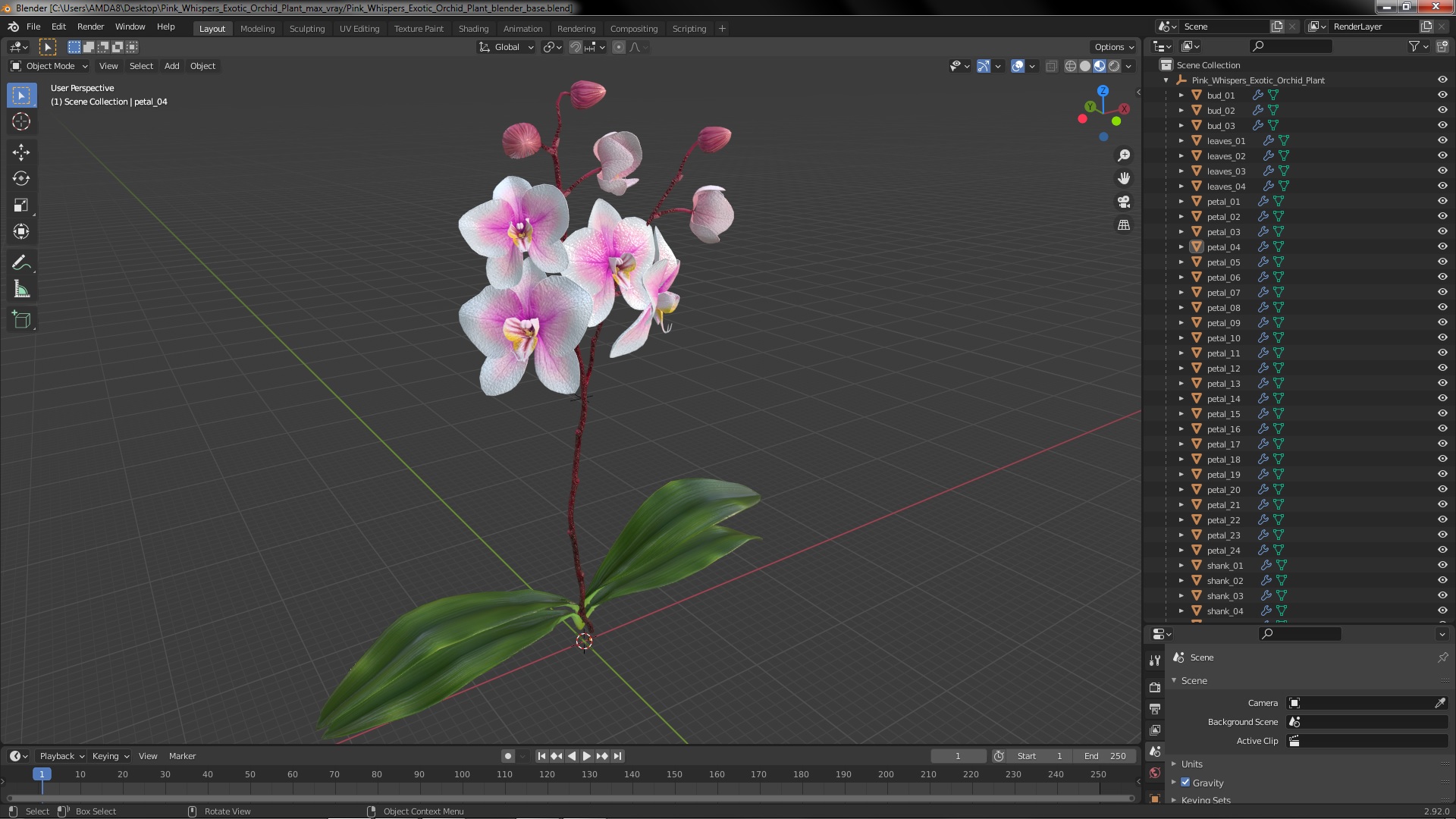 3D Pink Whispers Exotic Orchid Plant model