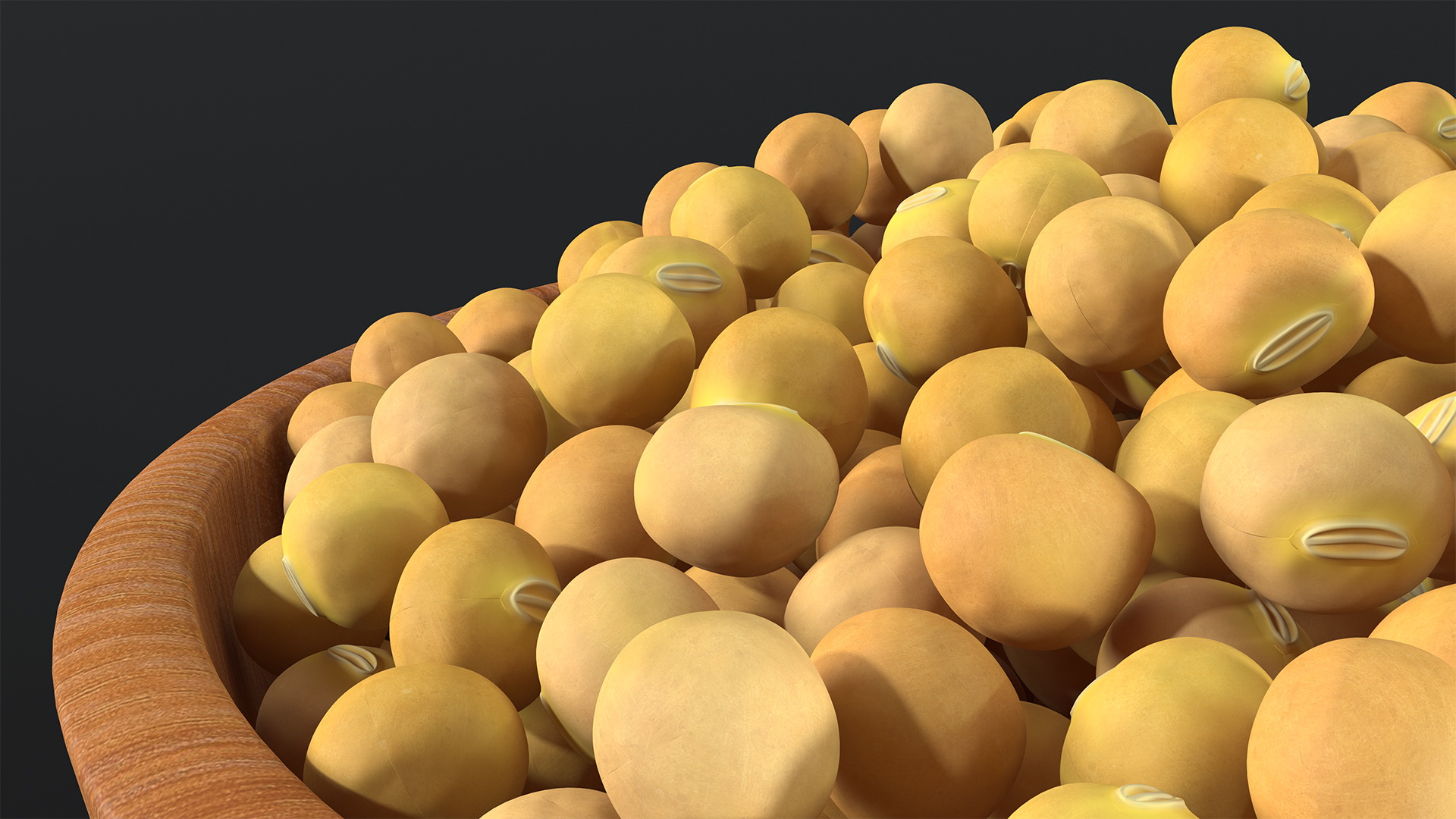 Soybean in Wooden Bowl 3D