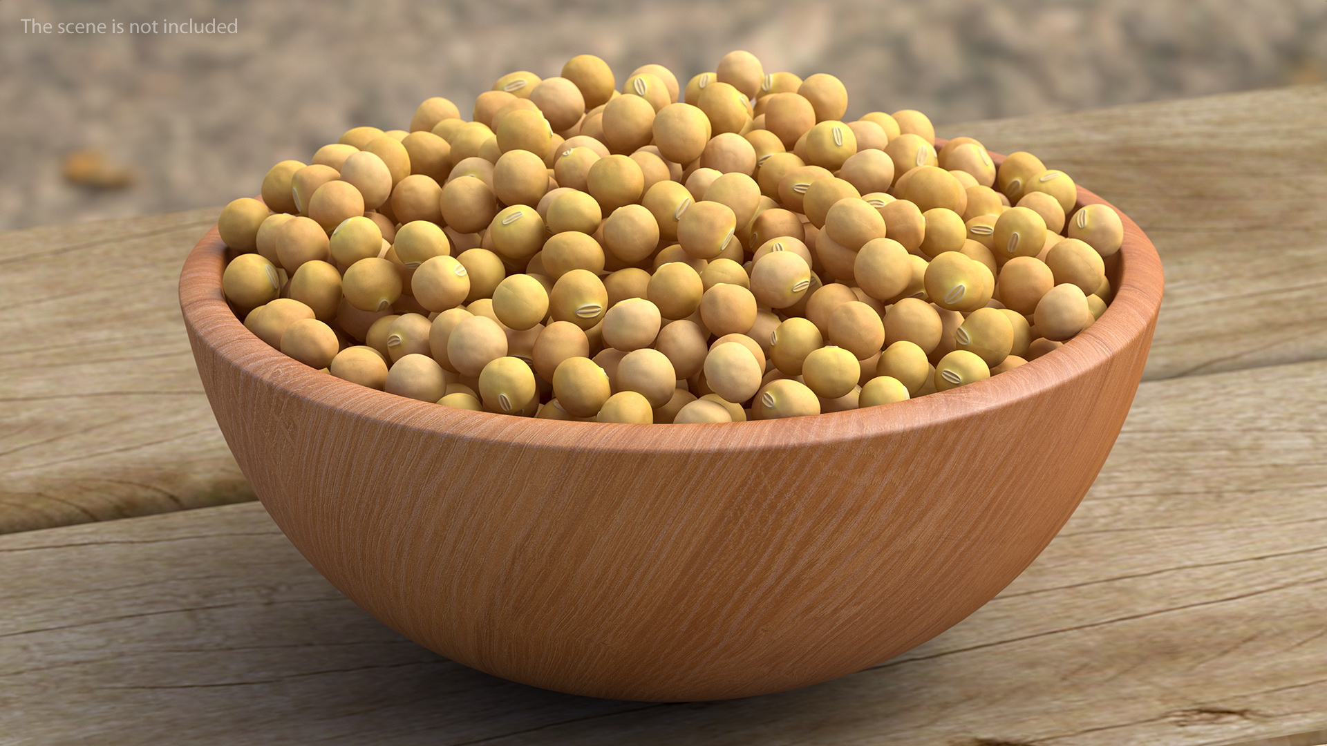 Soybean in Wooden Bowl 3D