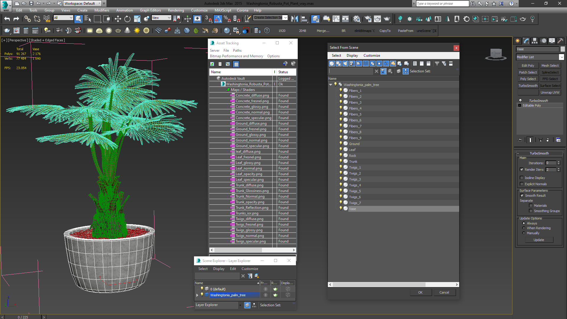 3D model Washingtonia Robusta Pot Plant