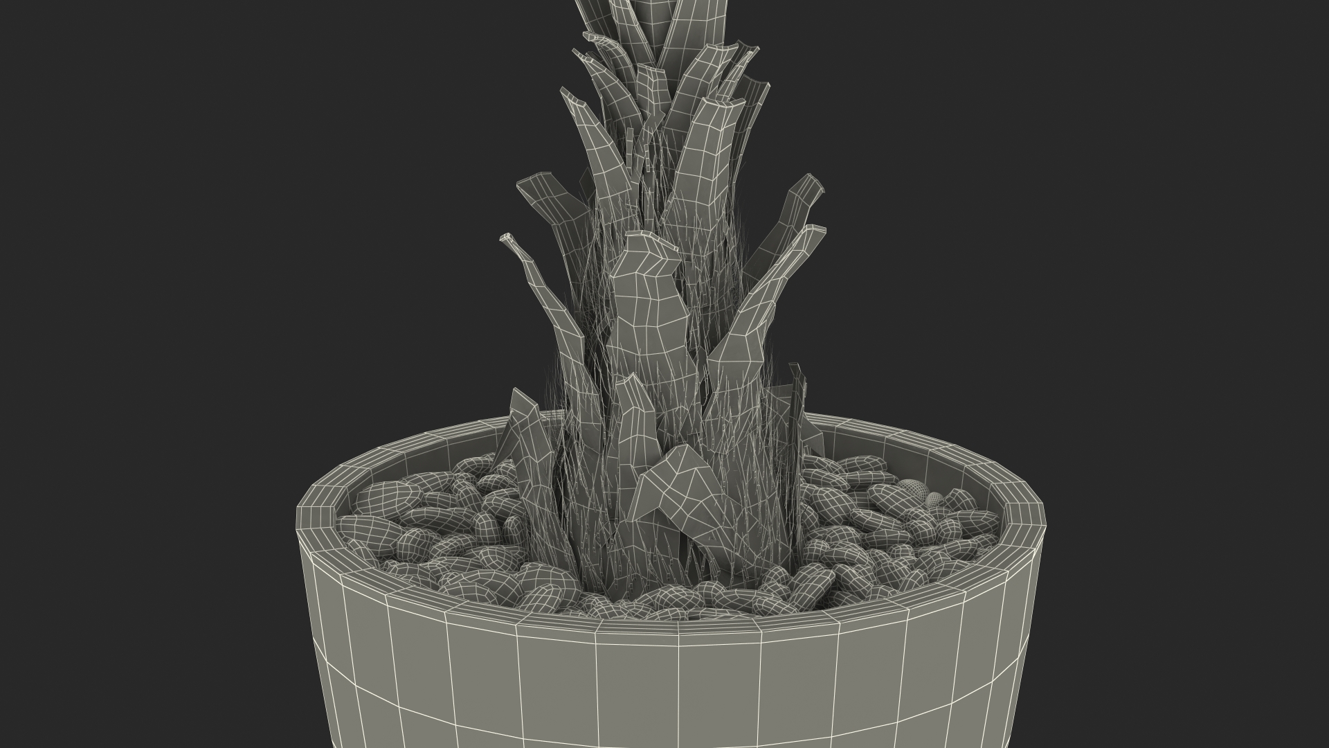 3D model Washingtonia Robusta Pot Plant