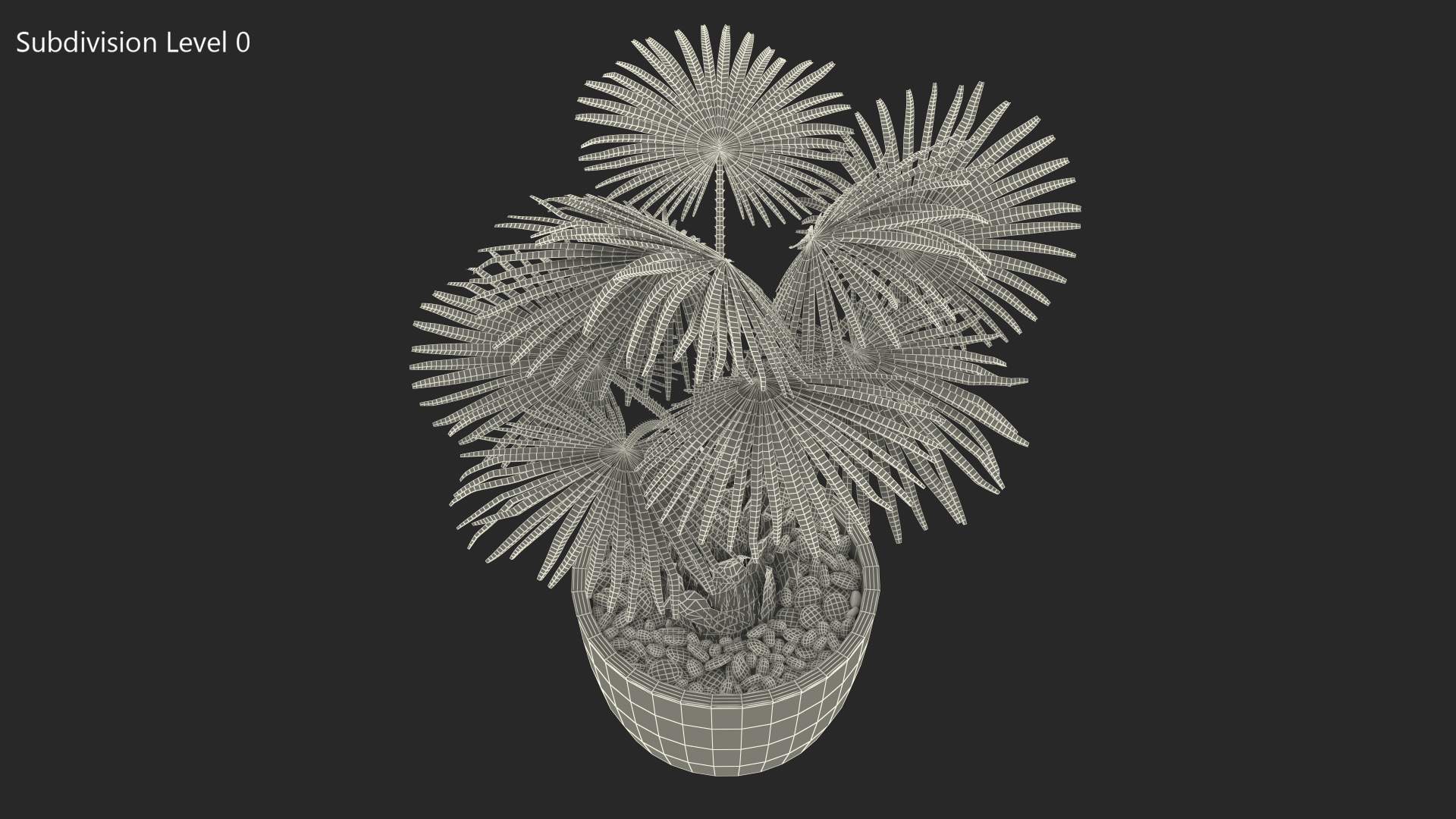 3D model Washingtonia Robusta Pot Plant