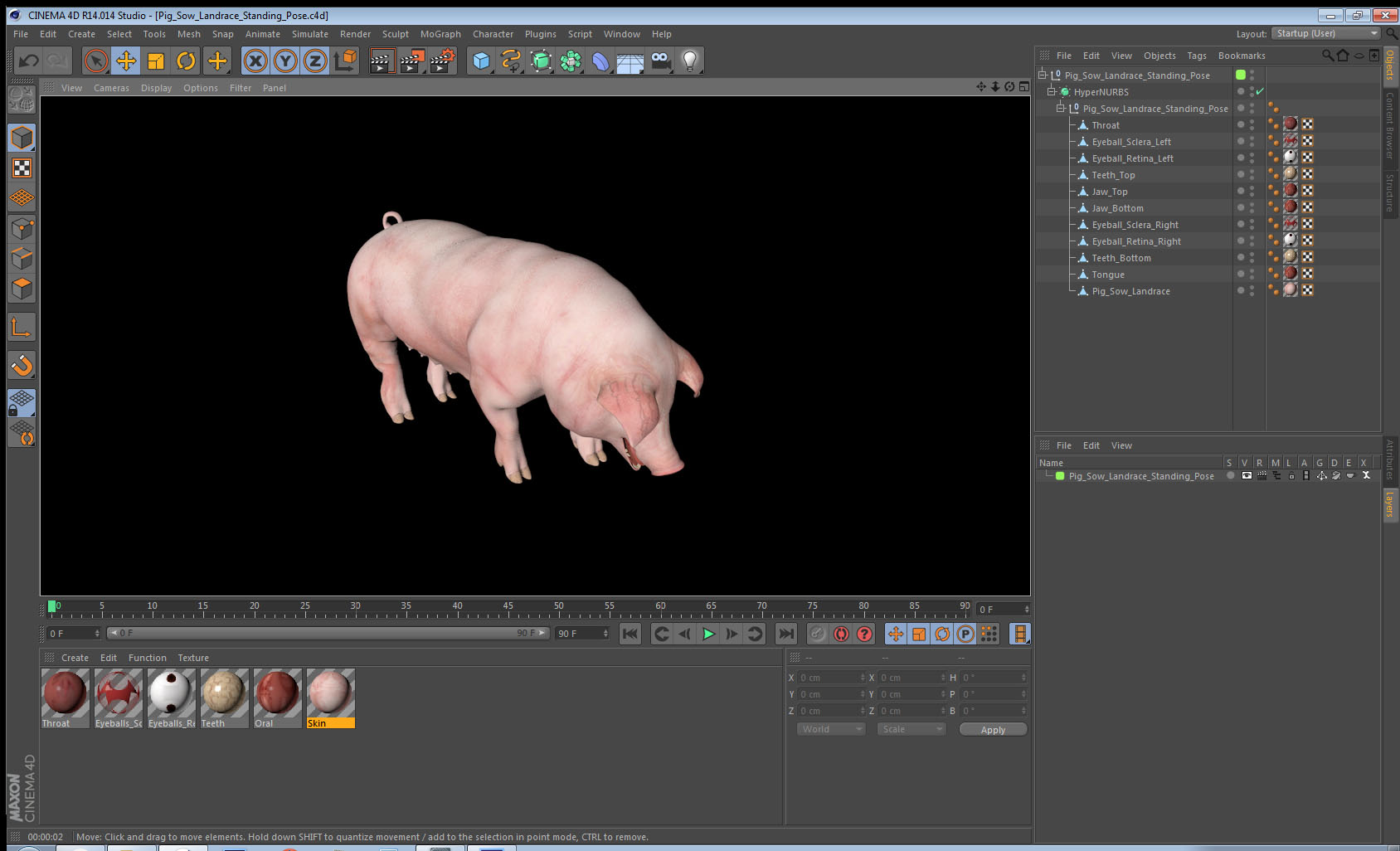 3D model Pig Sow Landrace Standing Pose