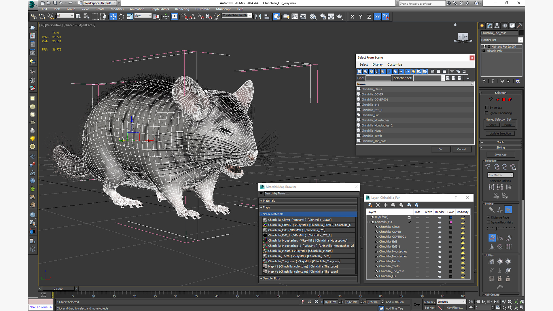 Chinchilla Fur 3D model