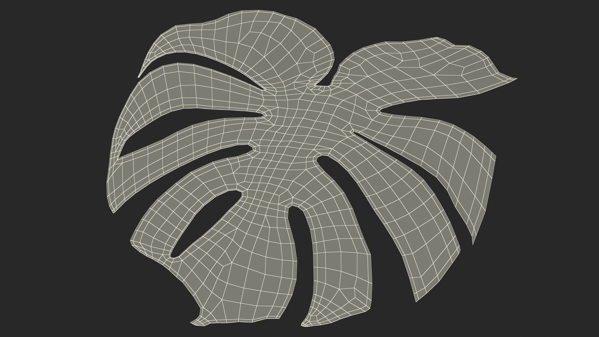 3D Monstera Deliciosa Leaf model