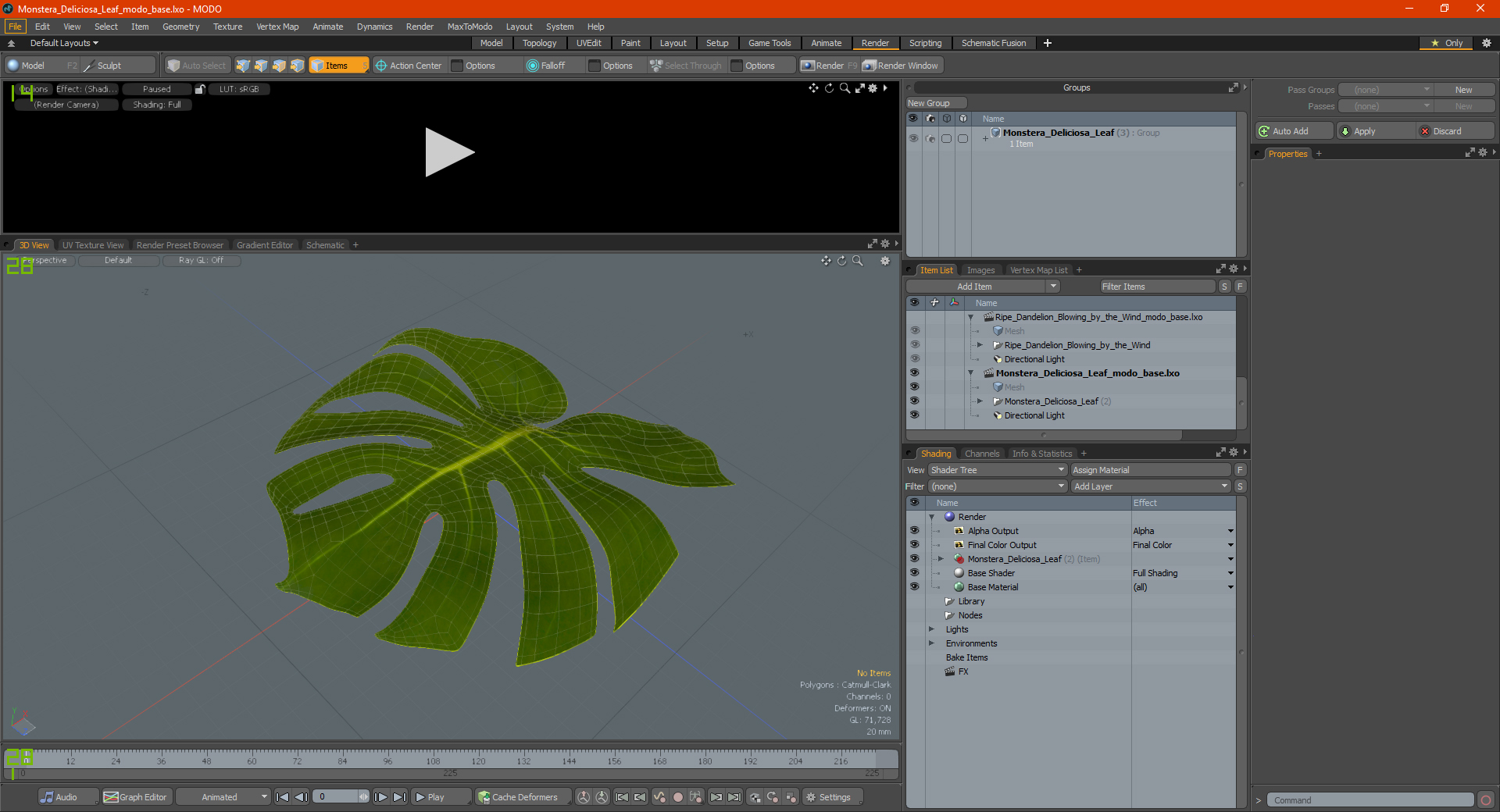 3D Monstera Deliciosa Leaf model