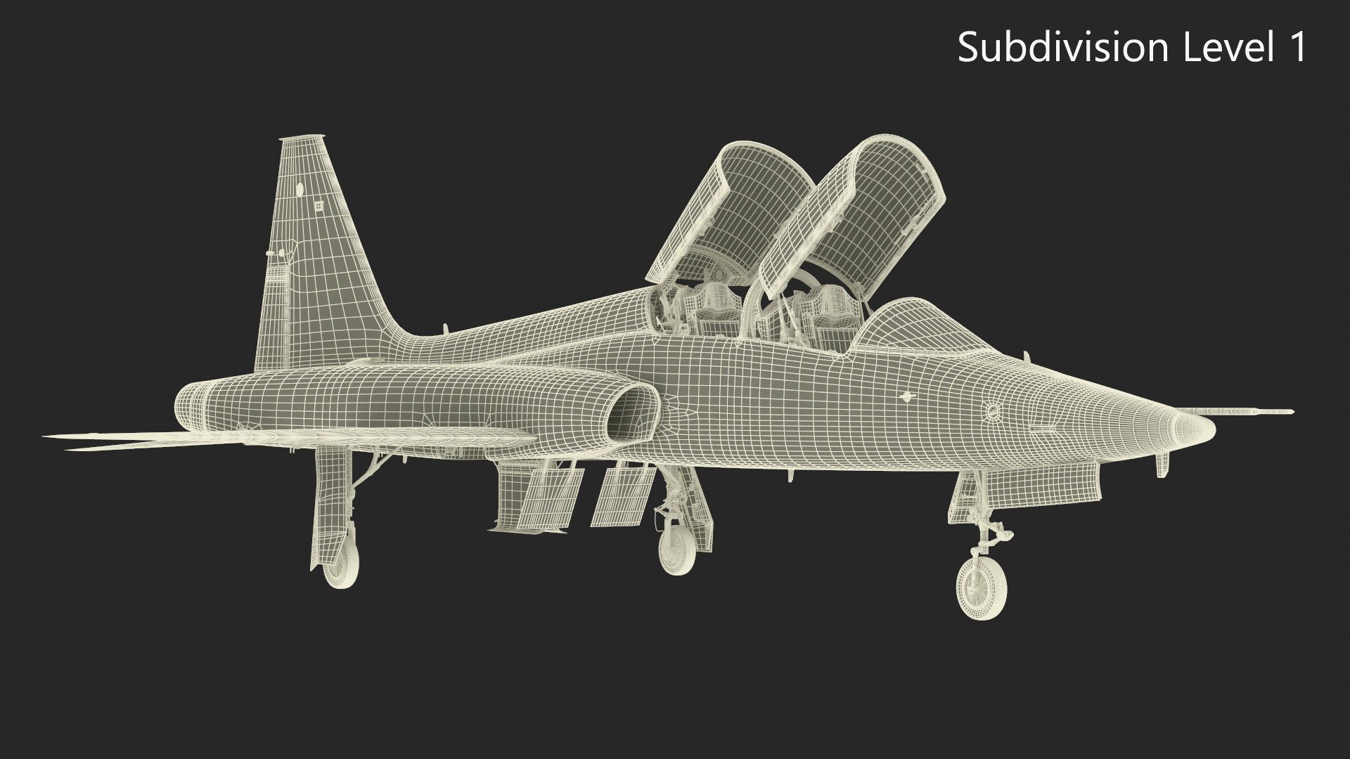 3D Military T-38 Talon Jet Trainer Camo