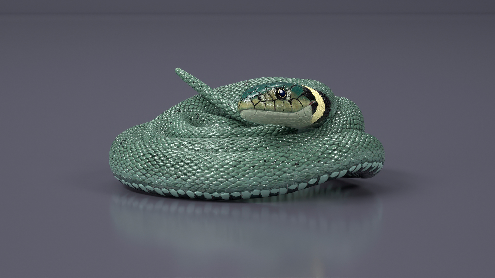 3D model Ringed Snake Green Coiled