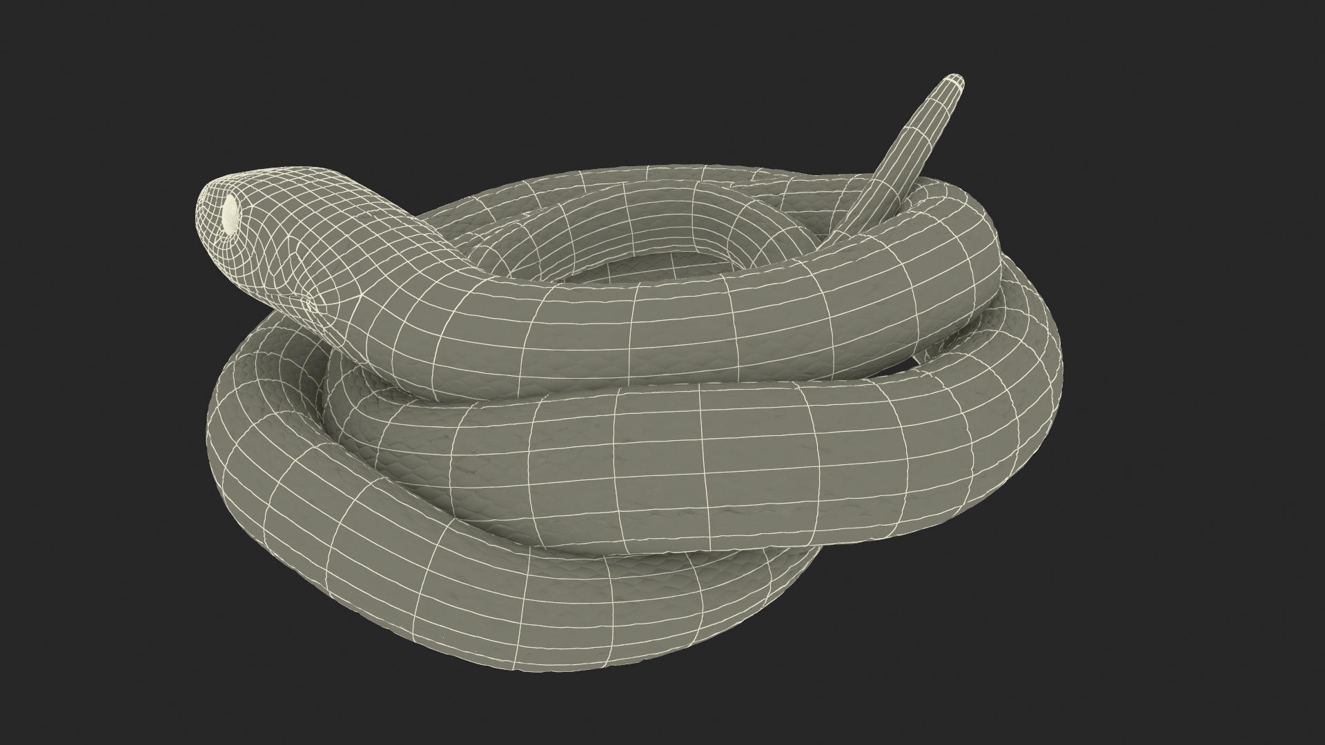 3D model Ringed Snake Green Coiled