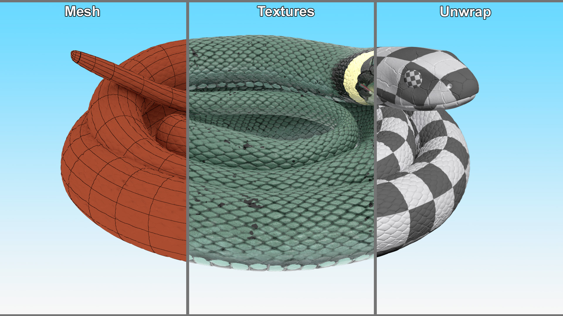 3D model Ringed Snake Green Coiled