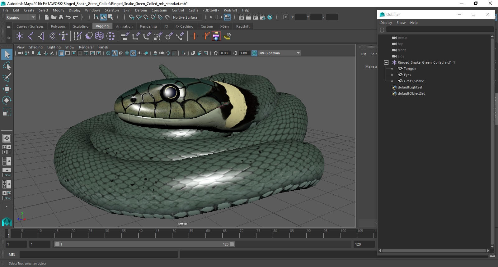 3D model Ringed Snake Green Coiled