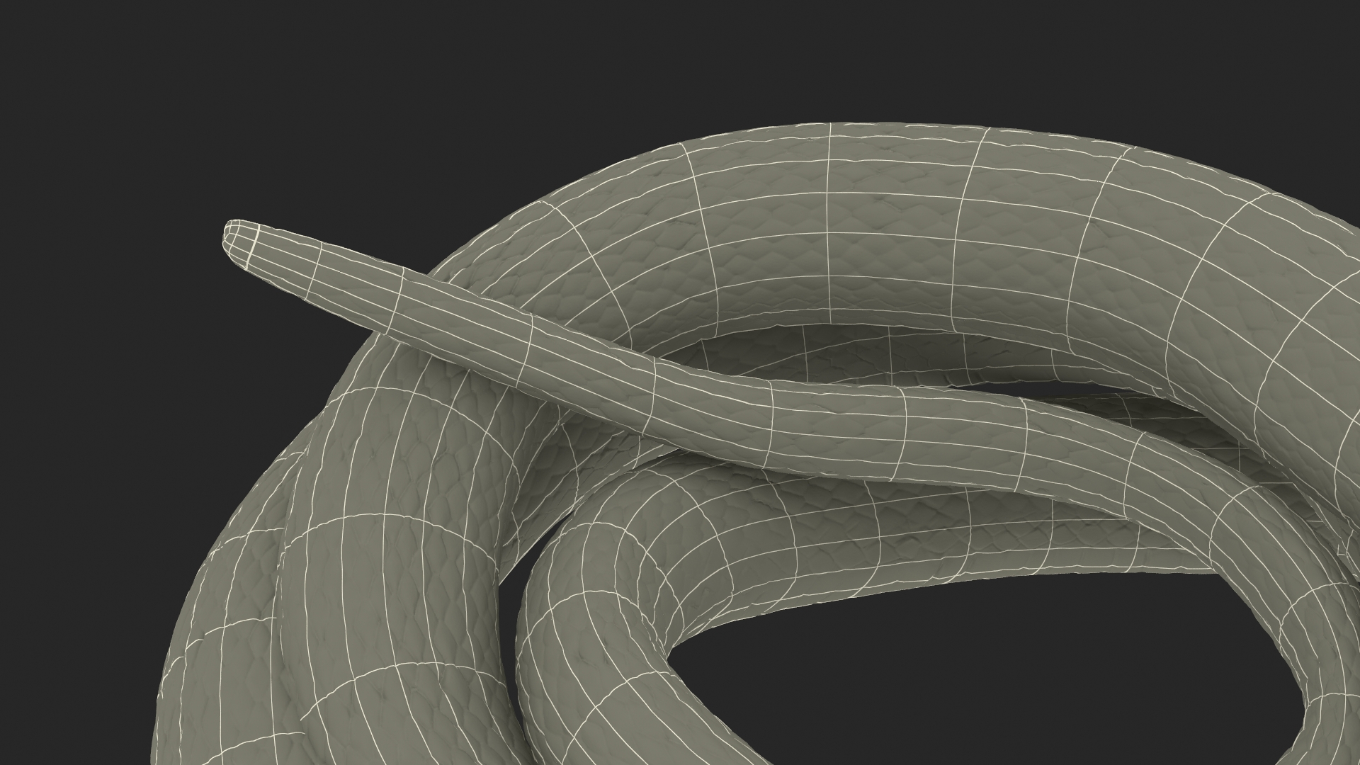 3D model Ringed Snake Green Coiled