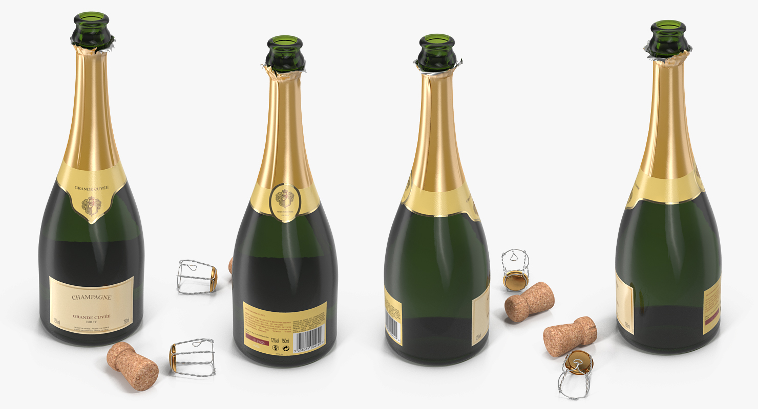 3D French Champagne Bottle Generic Opened model