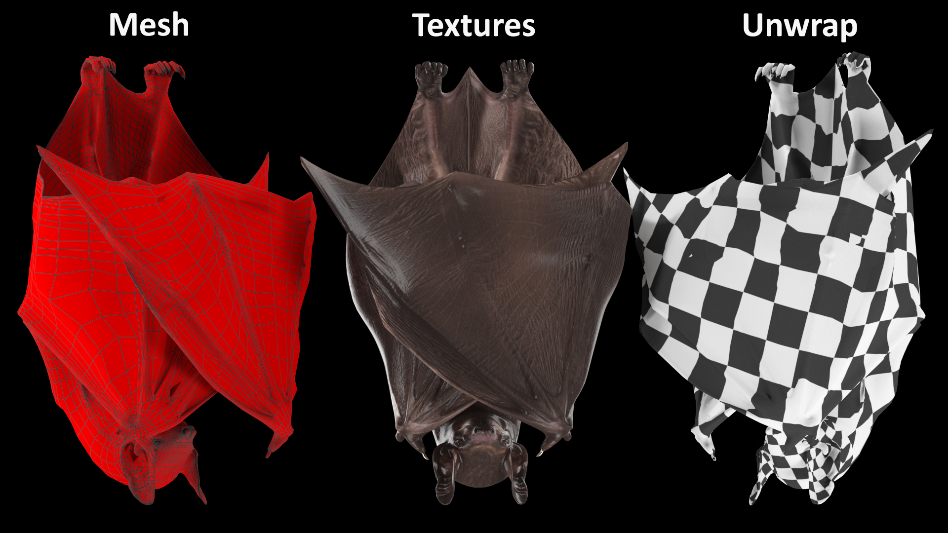 Hanging Black Bat 3D