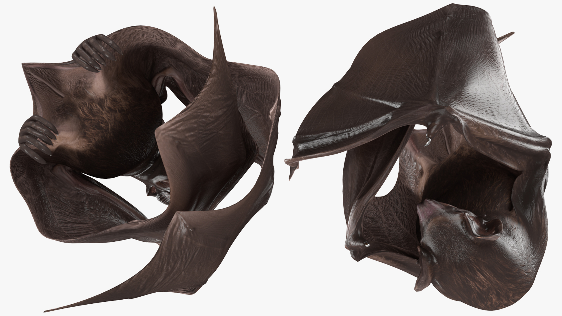 Hanging Black Bat 3D