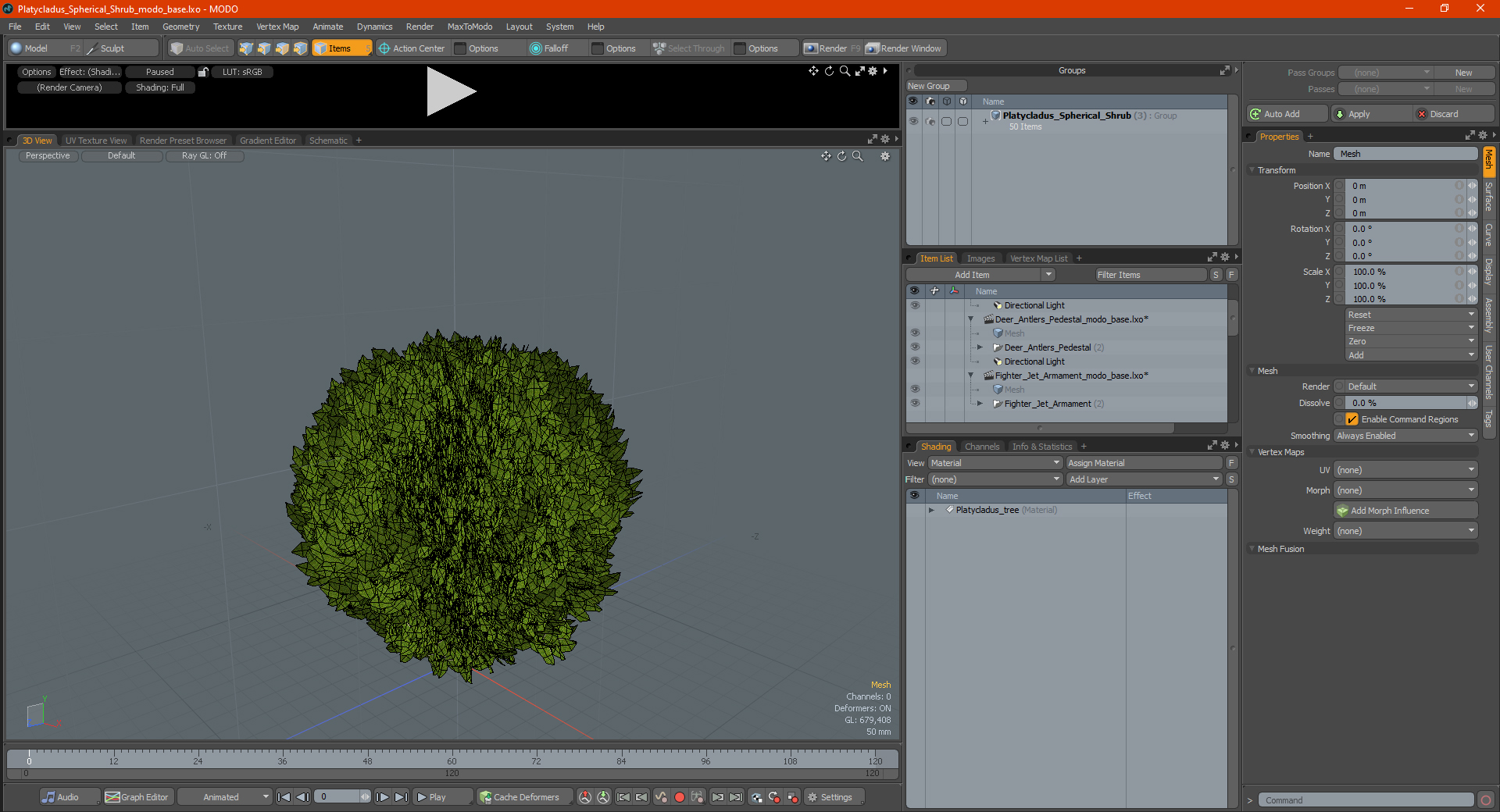 Platycladus Spherical Shrub 3D