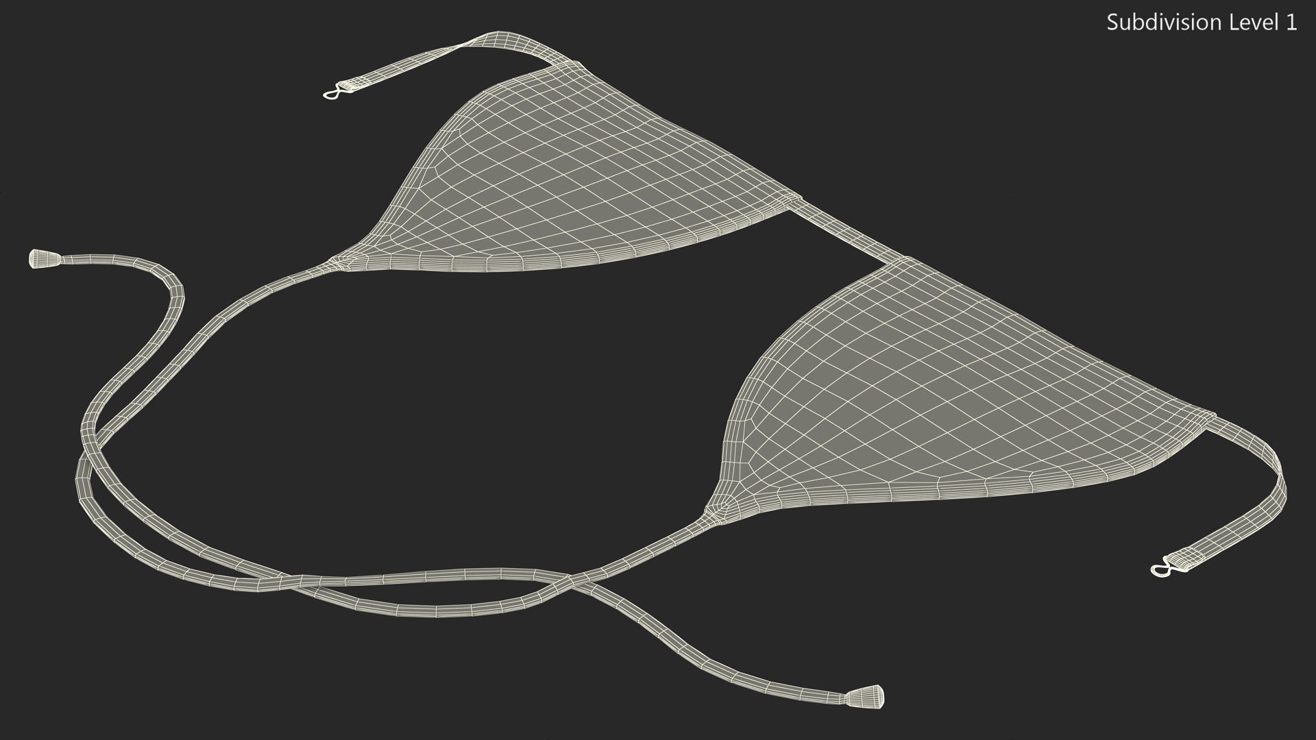 Triangle Bikini Top 3D model